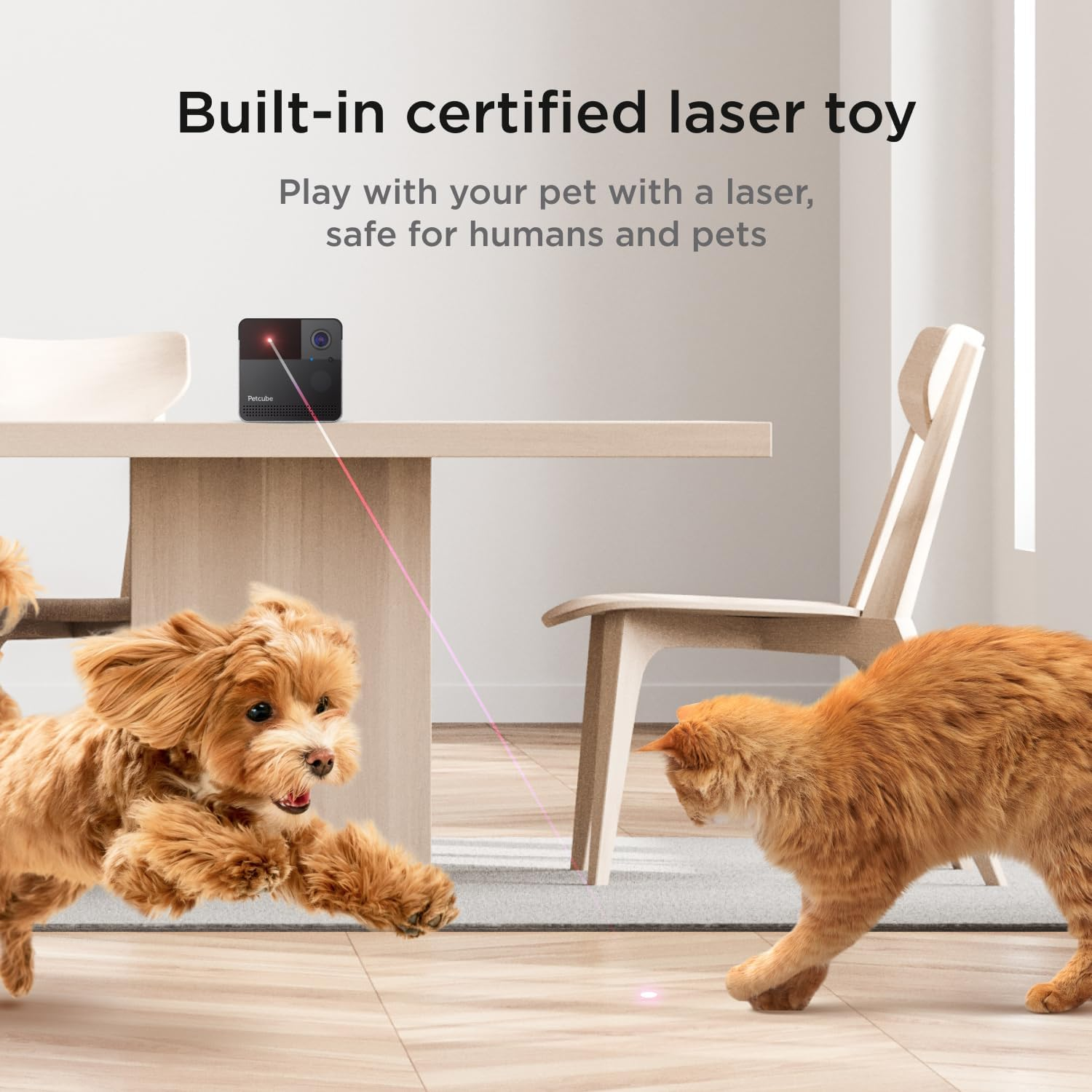 Twee honden en een kat spelen met een laserpointer. Tekst: 'Ingebouwd gecertificeerd laserspeelgoed'.