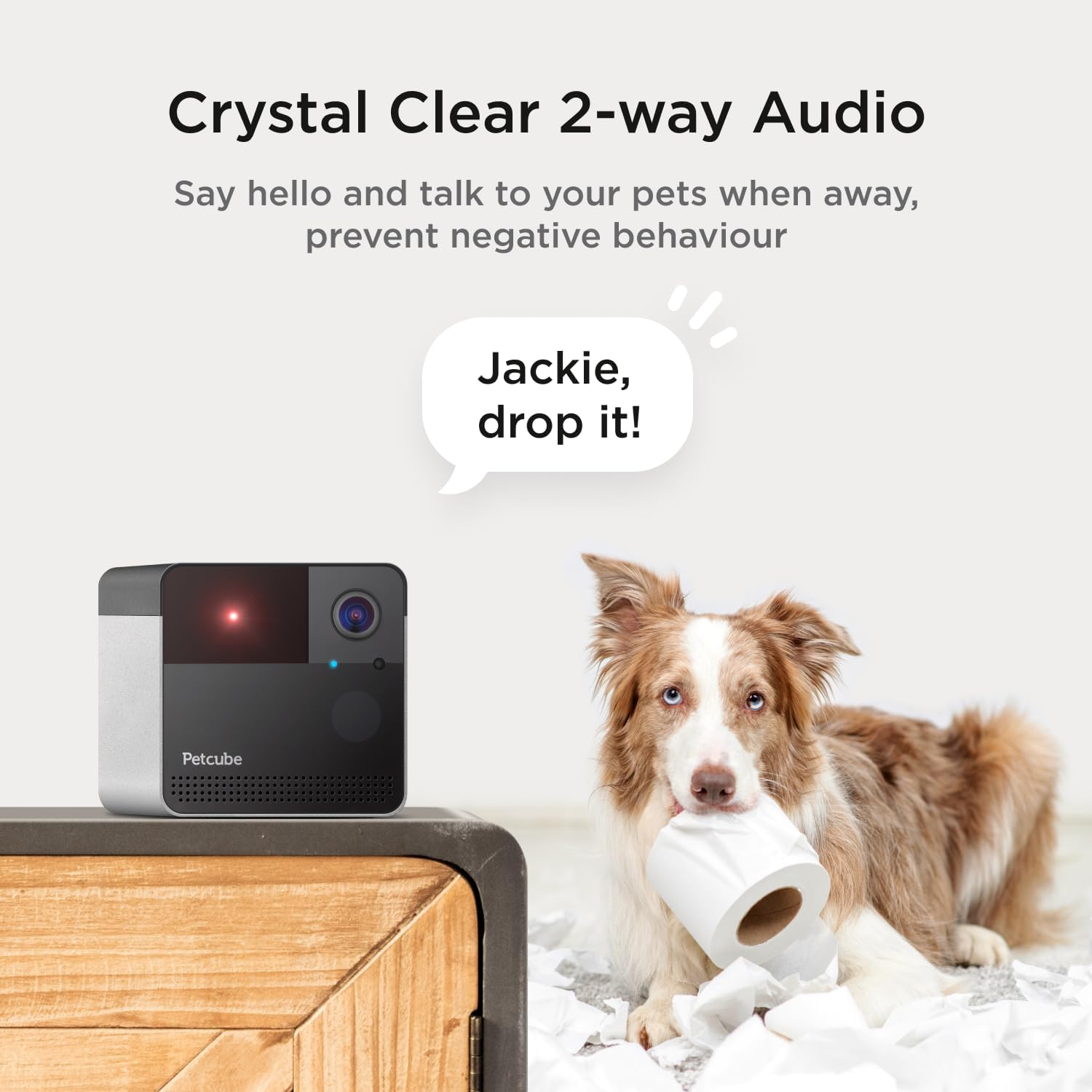 Een hond met wc-papier, een camera en tekst 'Jackie, laat het vallen!' met 'Kristalheldere 2-weg audio'.