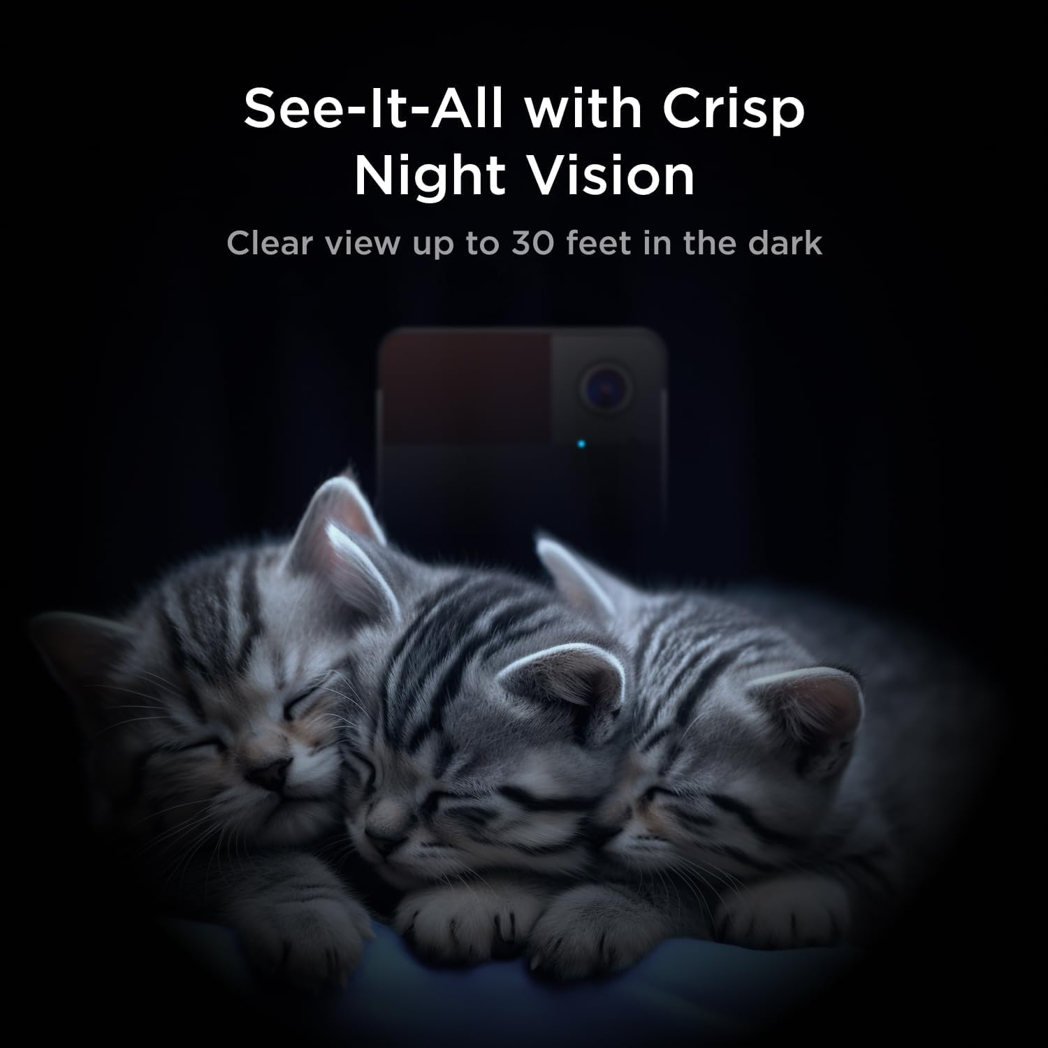 Twee slapende kittens, camera op de achtergrond. Tekst: 'Zie Alles met Scherp Nachtzicht'.