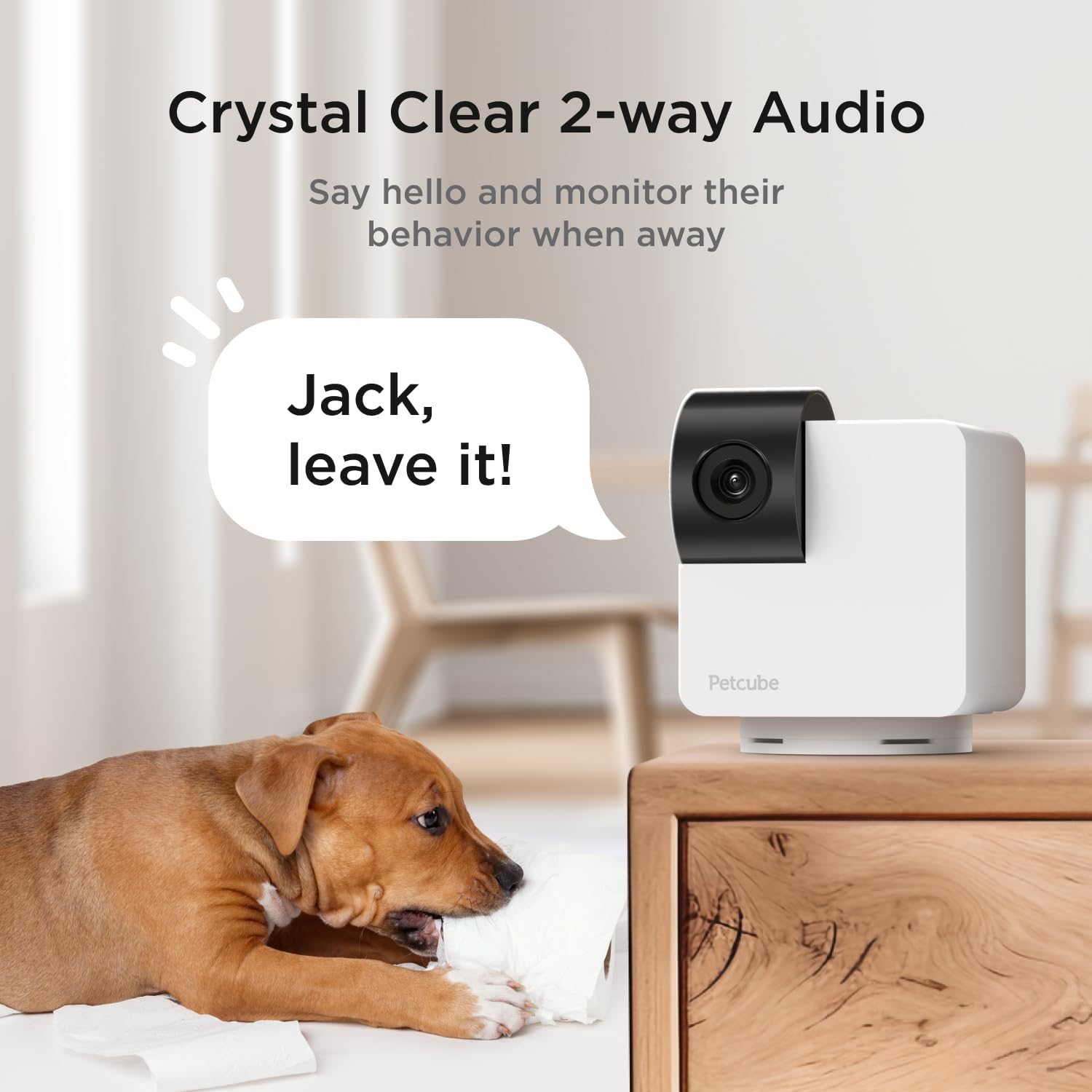 Dog is chewing on toilet paper, camera, and text saying 'Jack, leave it!' with 'Crystal Clear 2-way Audio'.