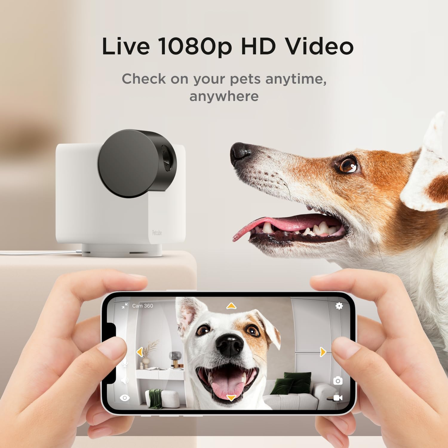 A hand holding a smartphone with a dog on the screen, camera in the background.