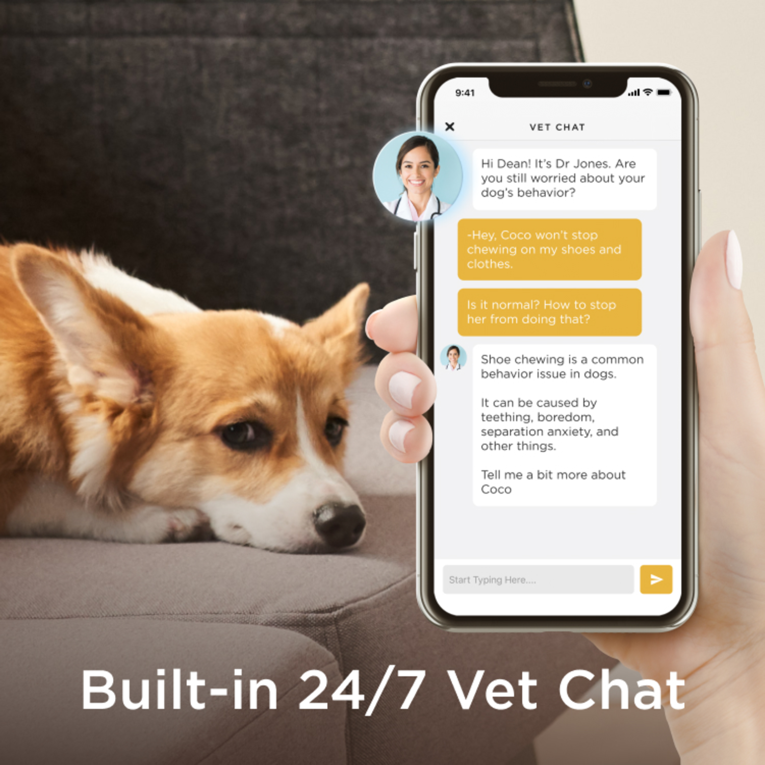 A phone with a vet chat open. A dog is on a couch. Text says: Built-in 24/7 Vet Chat.