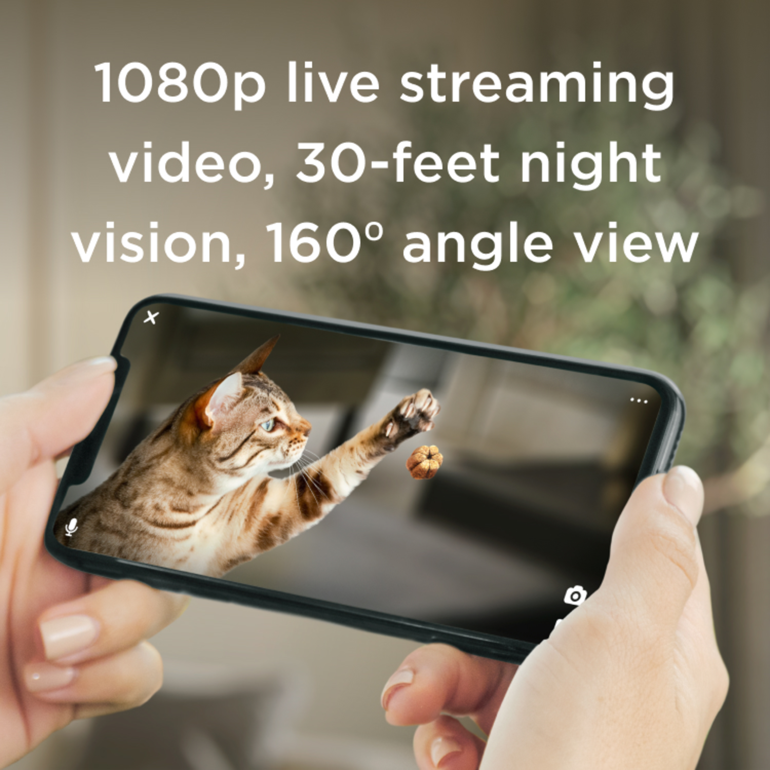 A person holding a phone. The phone shows a cat reaching for a treat. Text: 1080p live streaming video.