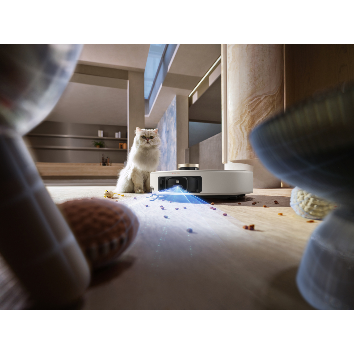 Cat watches robot cleaner. Toy in foreground. Modern interior.