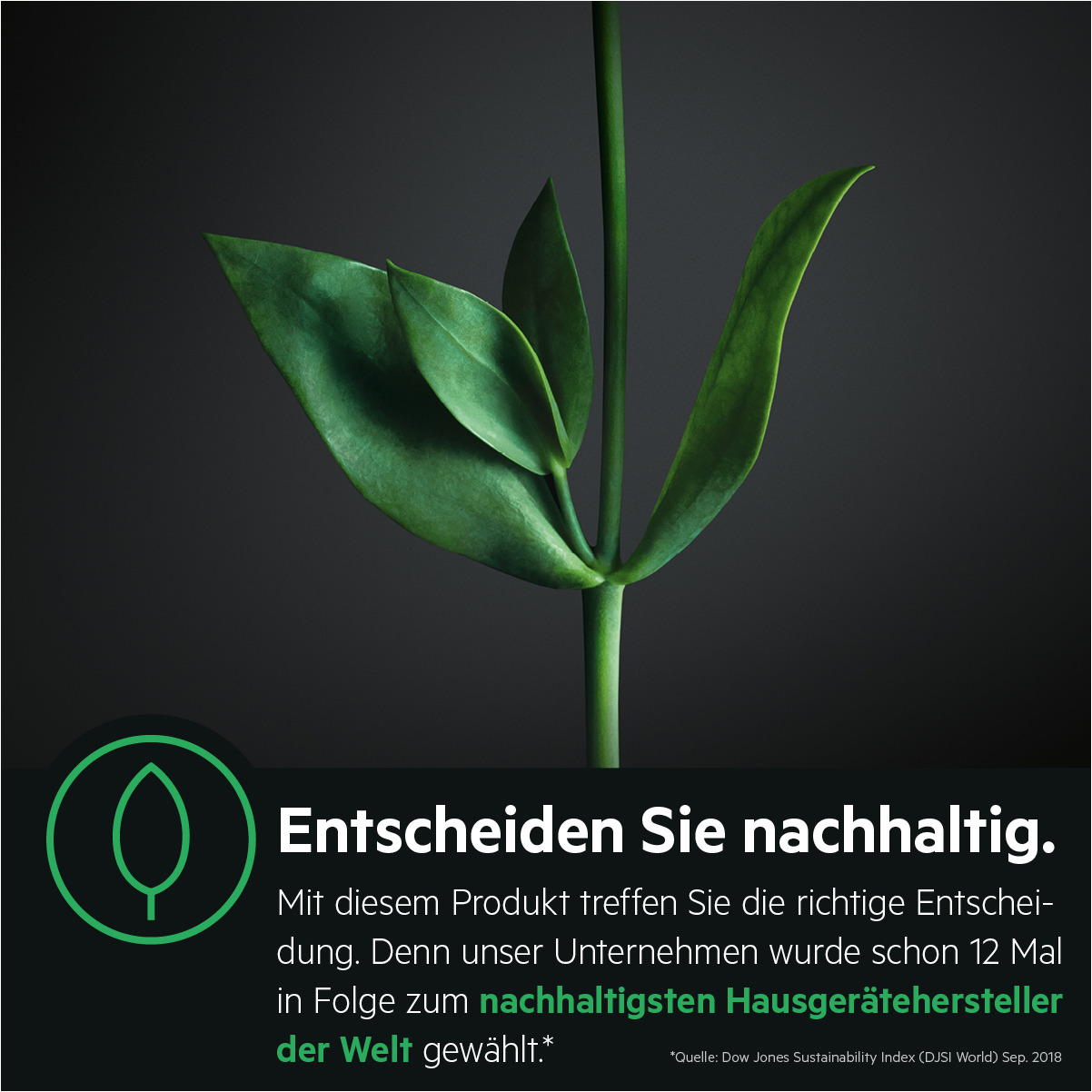 Eine grüne Pflanze mit Text über nachhaltige Entscheidungen, mit dem Text 'Entscheiden Sie nachhaltig'.