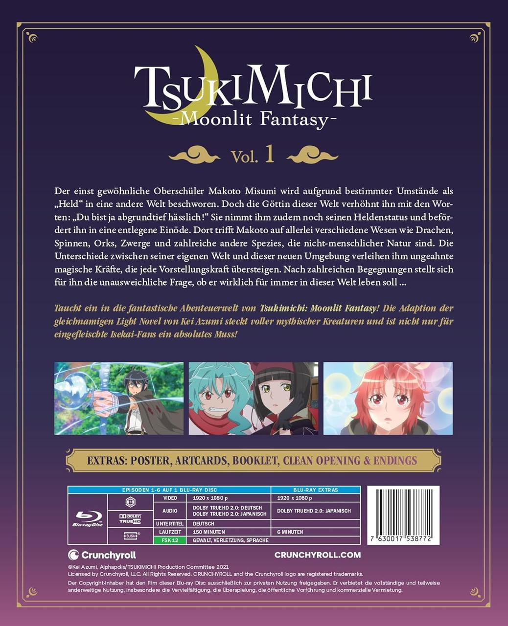 Rückseite der Anime-DVD. Titel: TsukiMichi, Moonlight Fantasy.