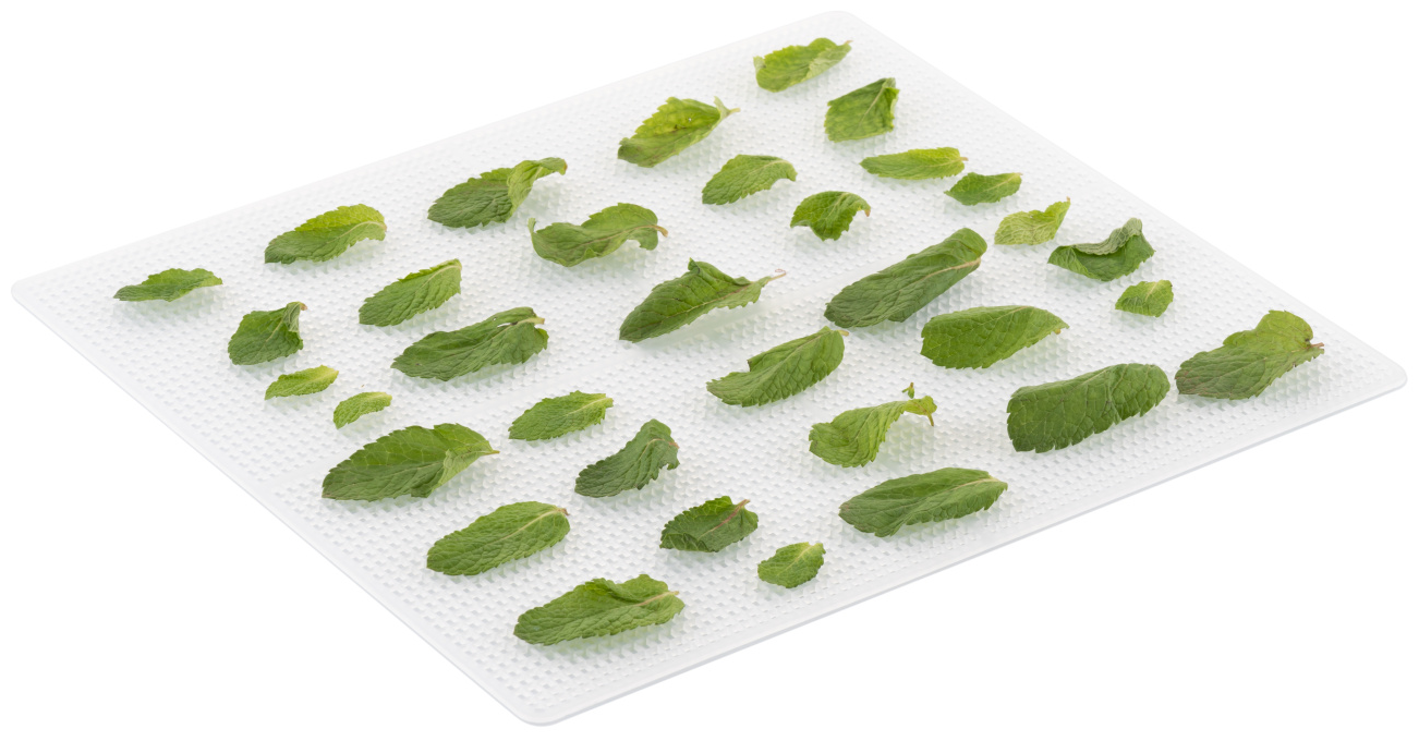 Tálca menta levelekkel. Menta levelek egy fehér tálcán.