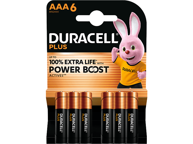 Duracell Alkaline Mainline Bst Aaa X6 Batterijen afbeelding