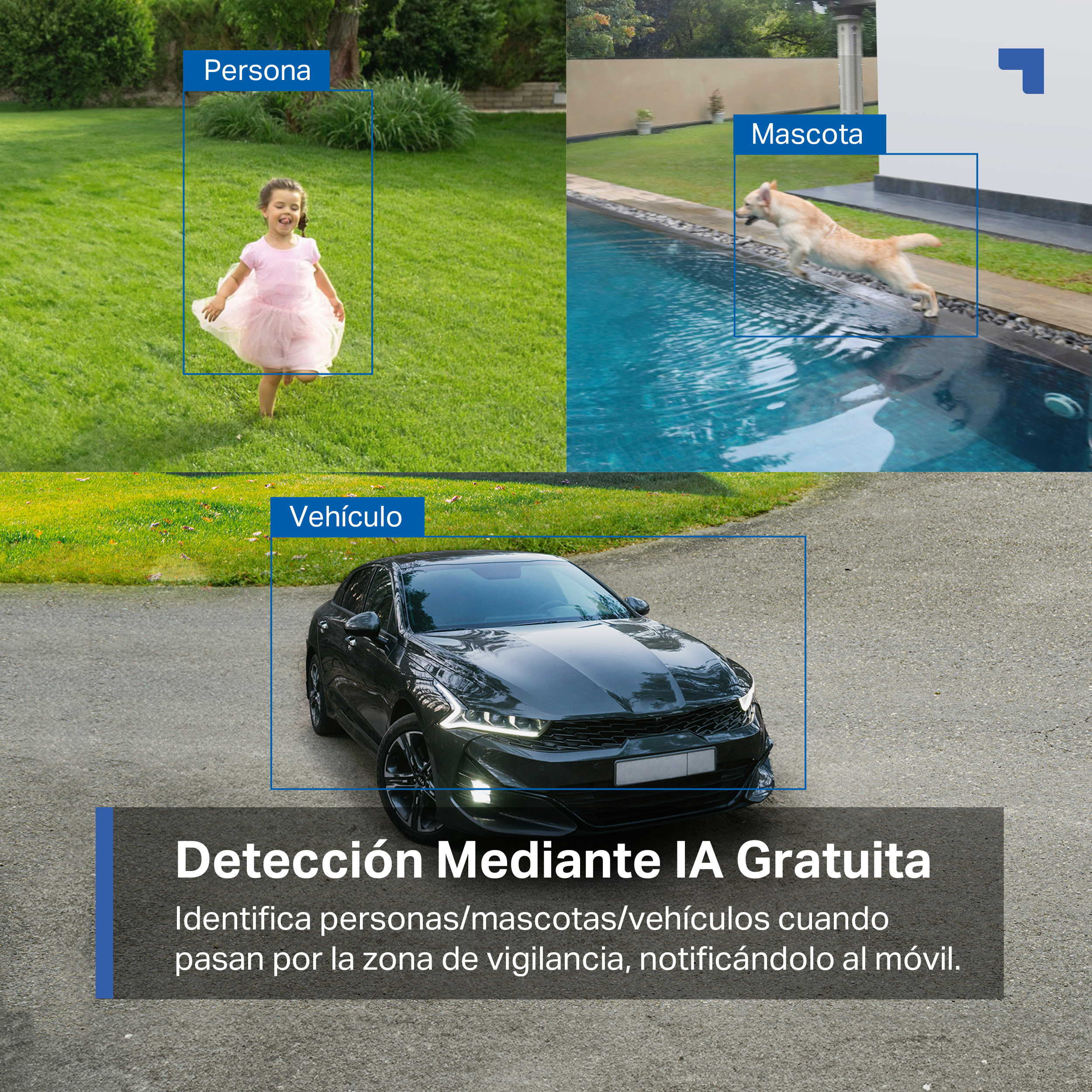 La imagen muestra una persona, mascota y vehículo con detección de IA. La escena tiene lugar sobre césped verde y pavimento.