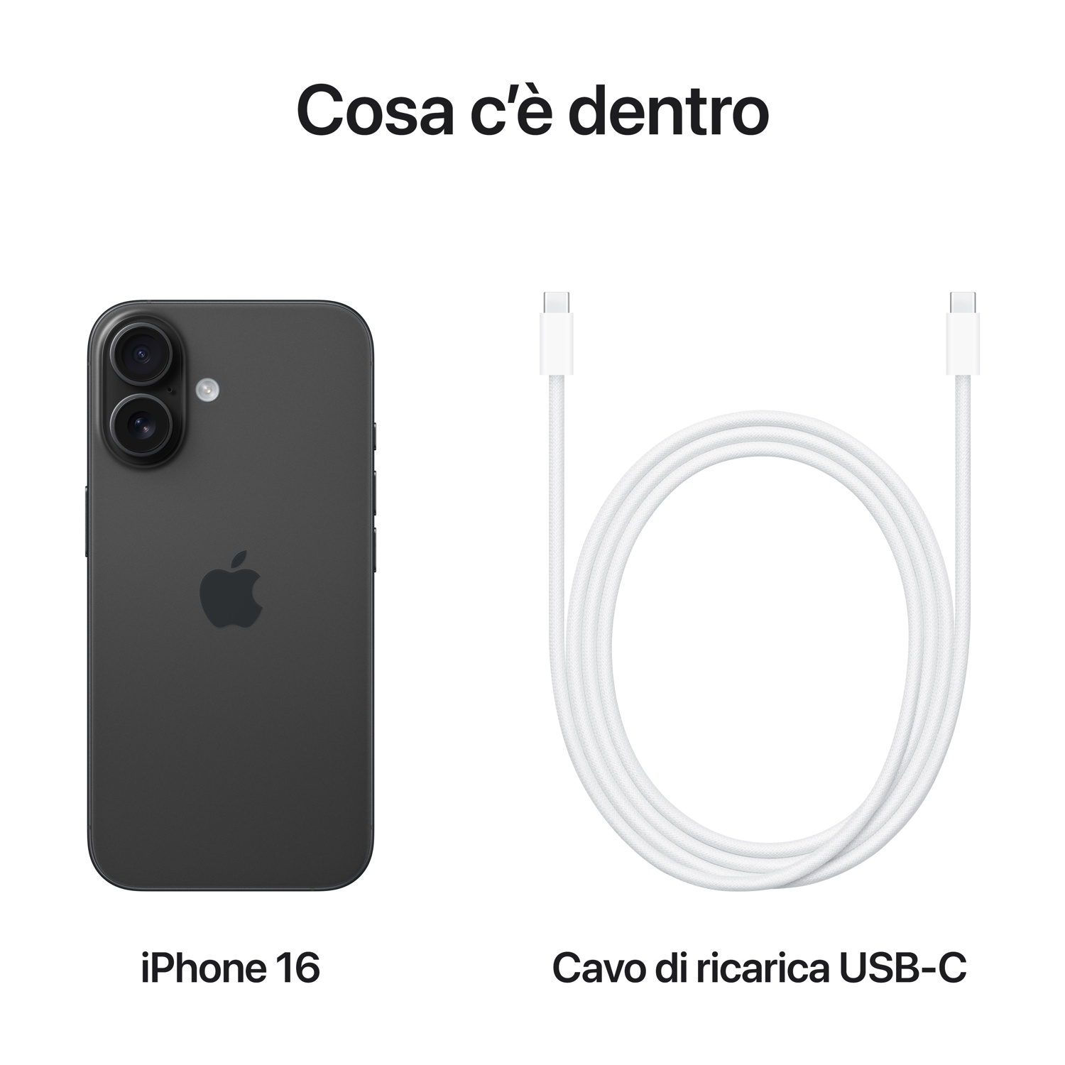 Un iPhone 16 accanto a un cavo di ricarica USB-C bianco, che mostra il telefono e il cavo.