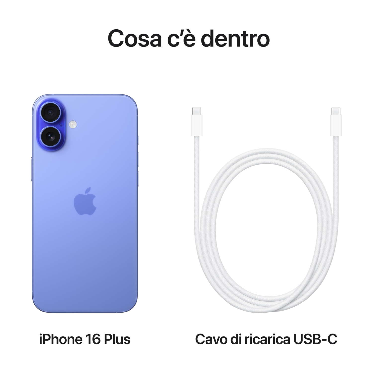 iPhone 16 Plus con un cavo di ricarica USB-C. Entrambi sono su sfondo bianco.