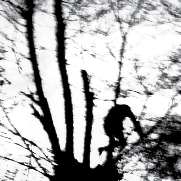 Silhouette einer Person, die einen Baum erklimmt, vor einem verschwommenen, strukturierten Hintergrund aus Ästen.