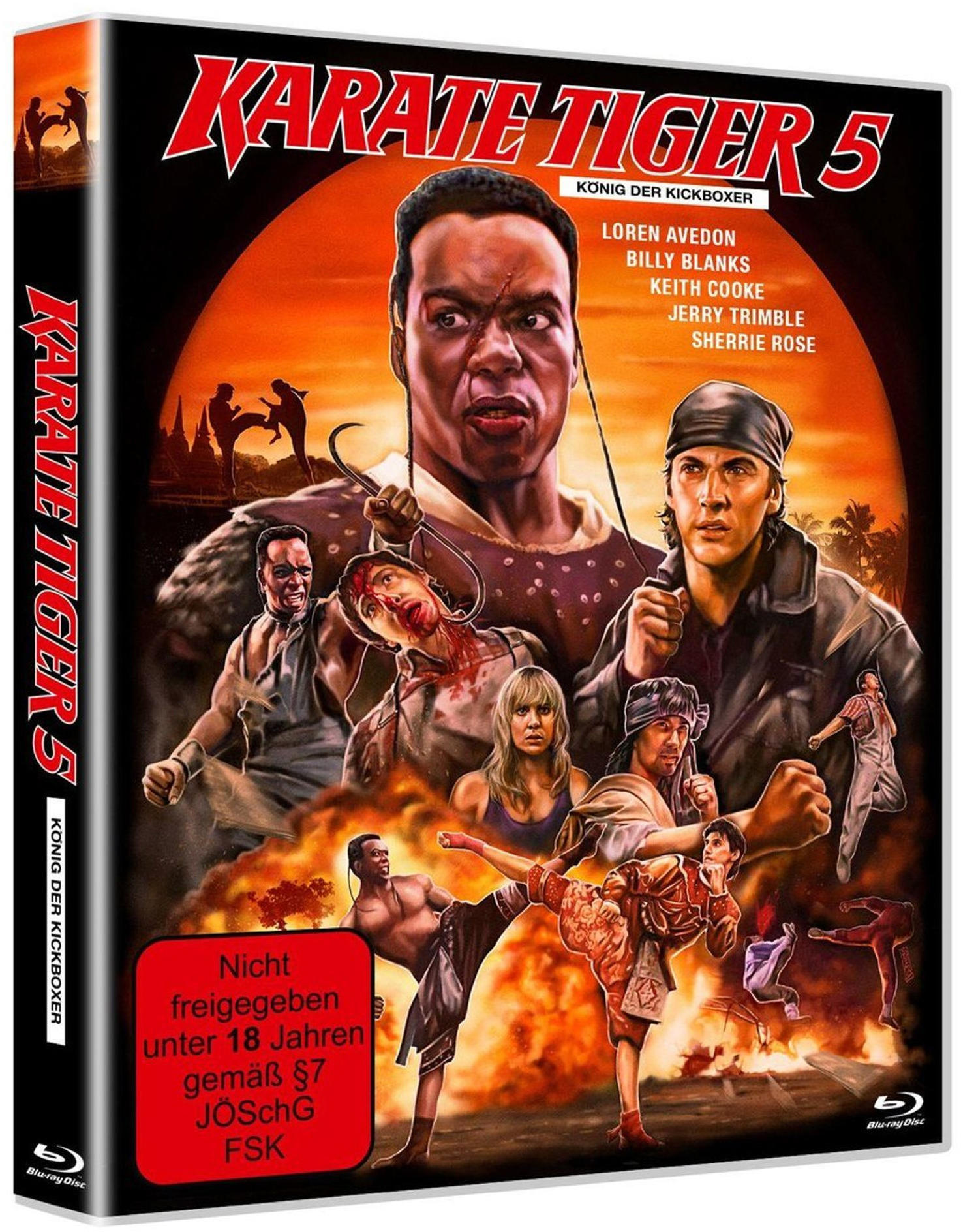 DVD-Cover mit Action-Szenen und Schauspielern aus dem Film Karate Tiger 5. Text auf Deutsch.