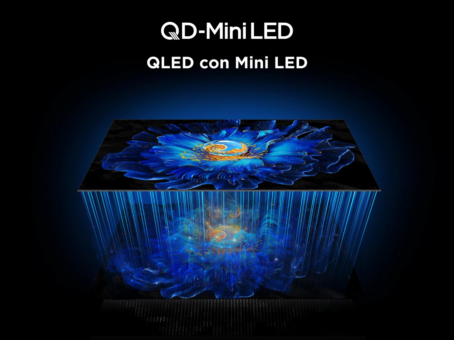 Pantalla de TV que muestra un patrón floral azul. El texto resalta la función QD-Mini LED.