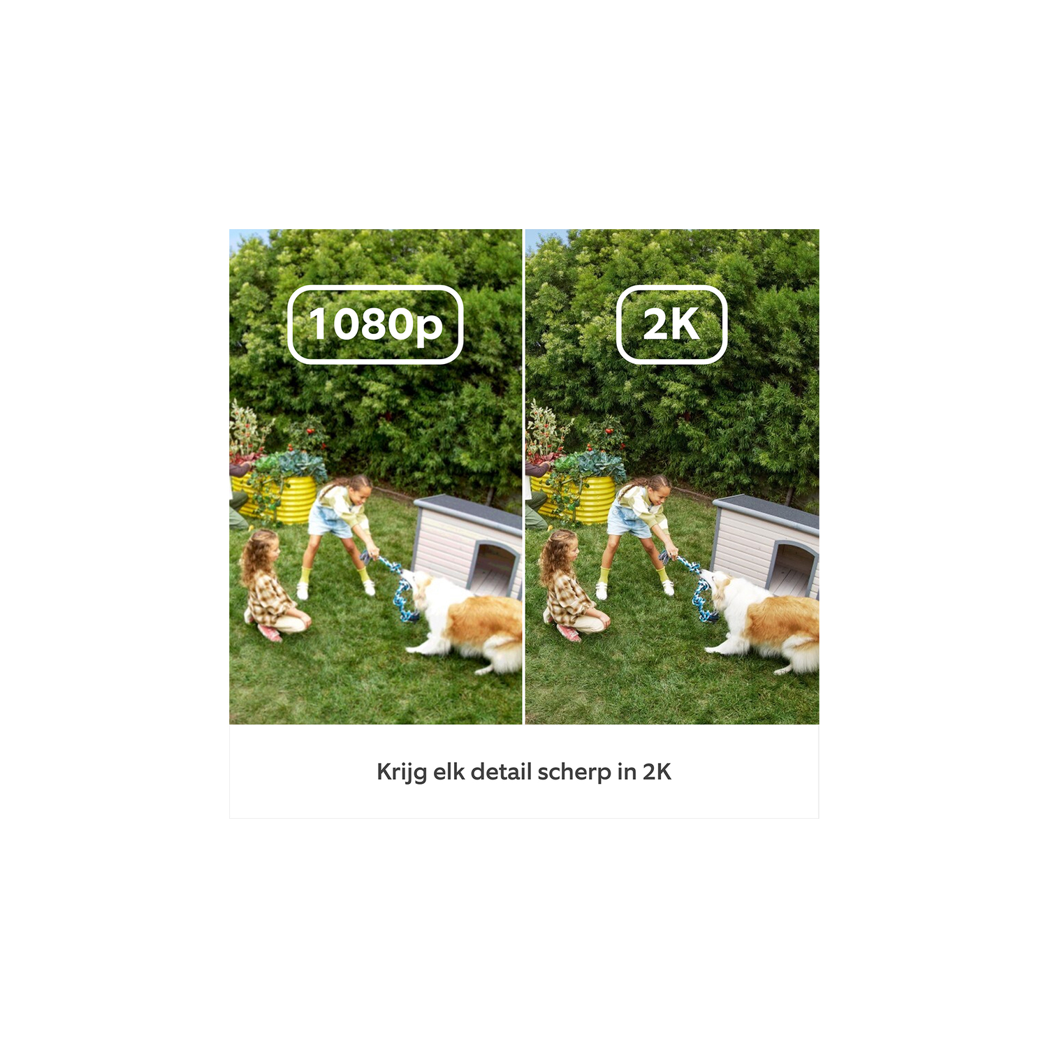 Two images compare 1080p and 2K resolution of children playing with a dog by a dog house.