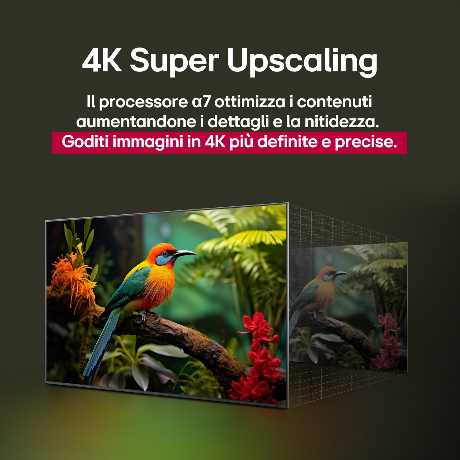 Schermo TV che mostra un uccello su un ramo con una griglia, con una descrizione sul 4K Super Upscaling.