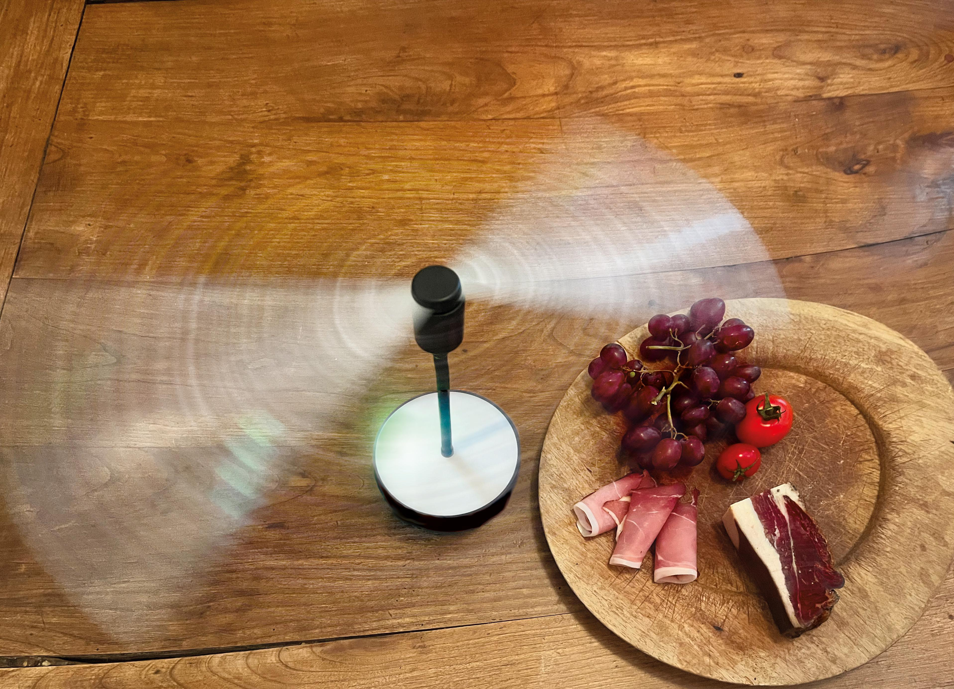Ein Tischventilator auf einem Holztisch. Trauben, Tomaten und Fleisch liegen auf einem Holztablett.