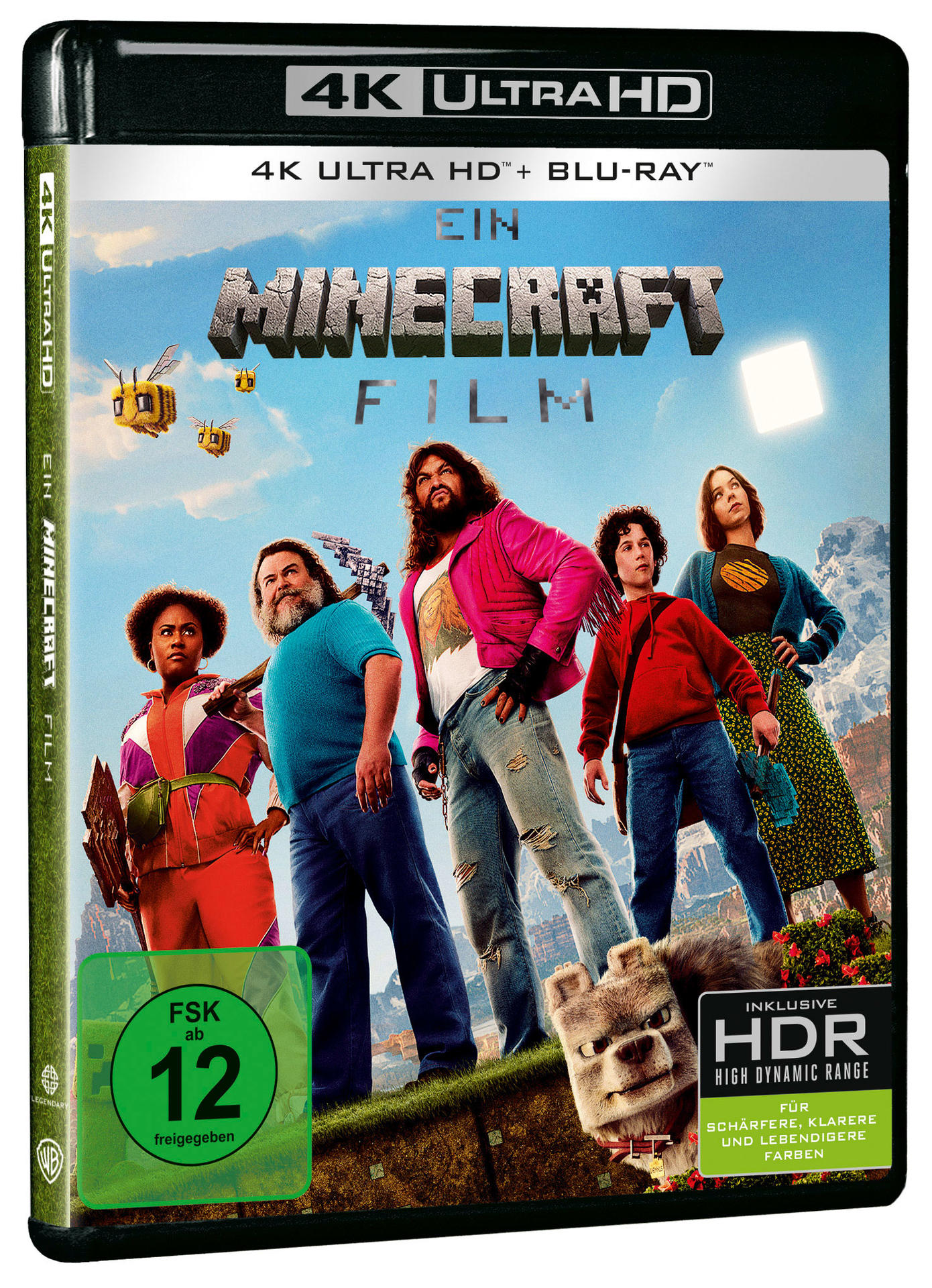 Filmcover: Gruppe von Leuten in einer Minecraft-Umgebung. Titel: Ein Minecraft Film.