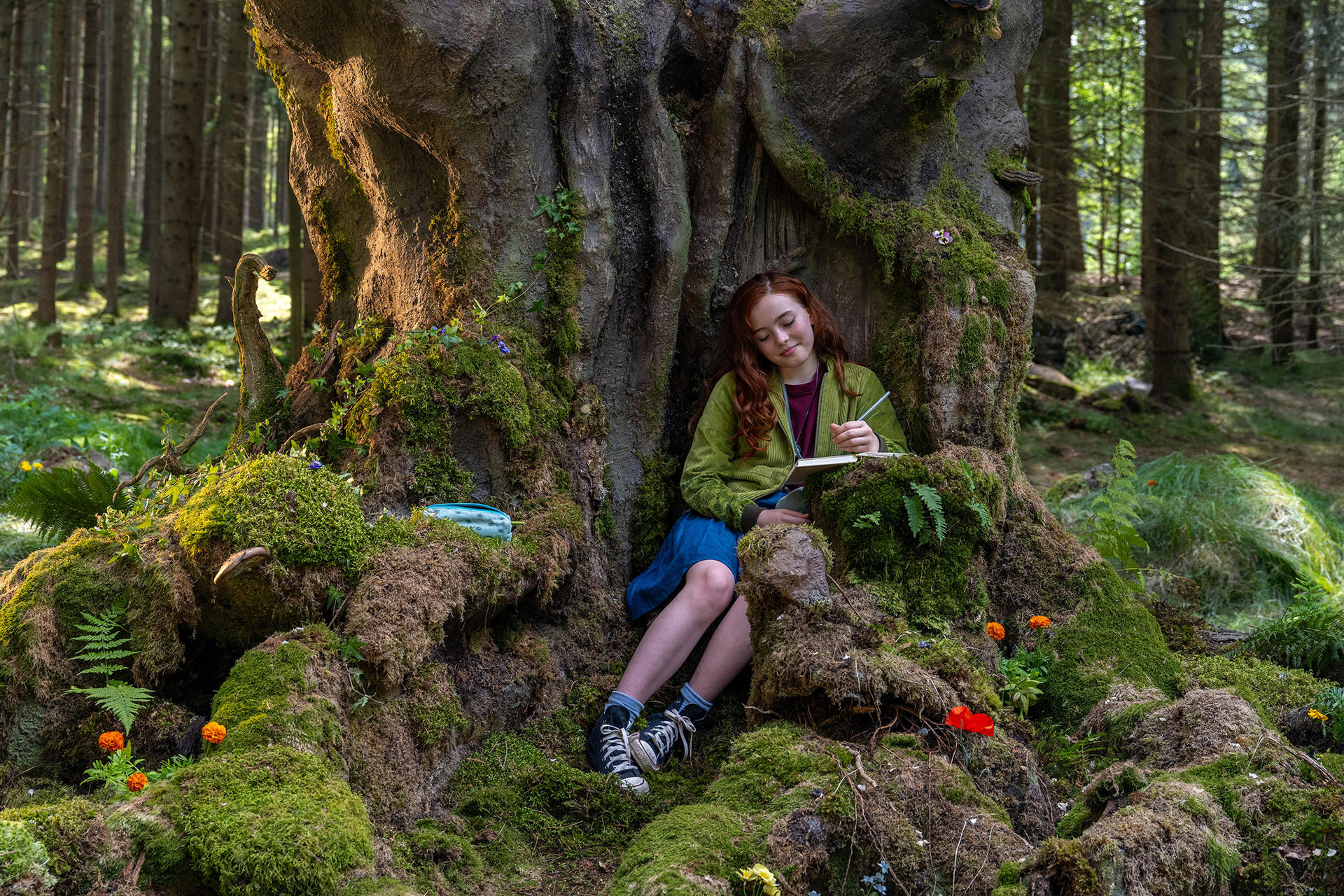 Ein Mädchen sitzt in einem Baum und schreibt in ein Buch. Sie ist von Moos umgeben und befindet sich im Wald.