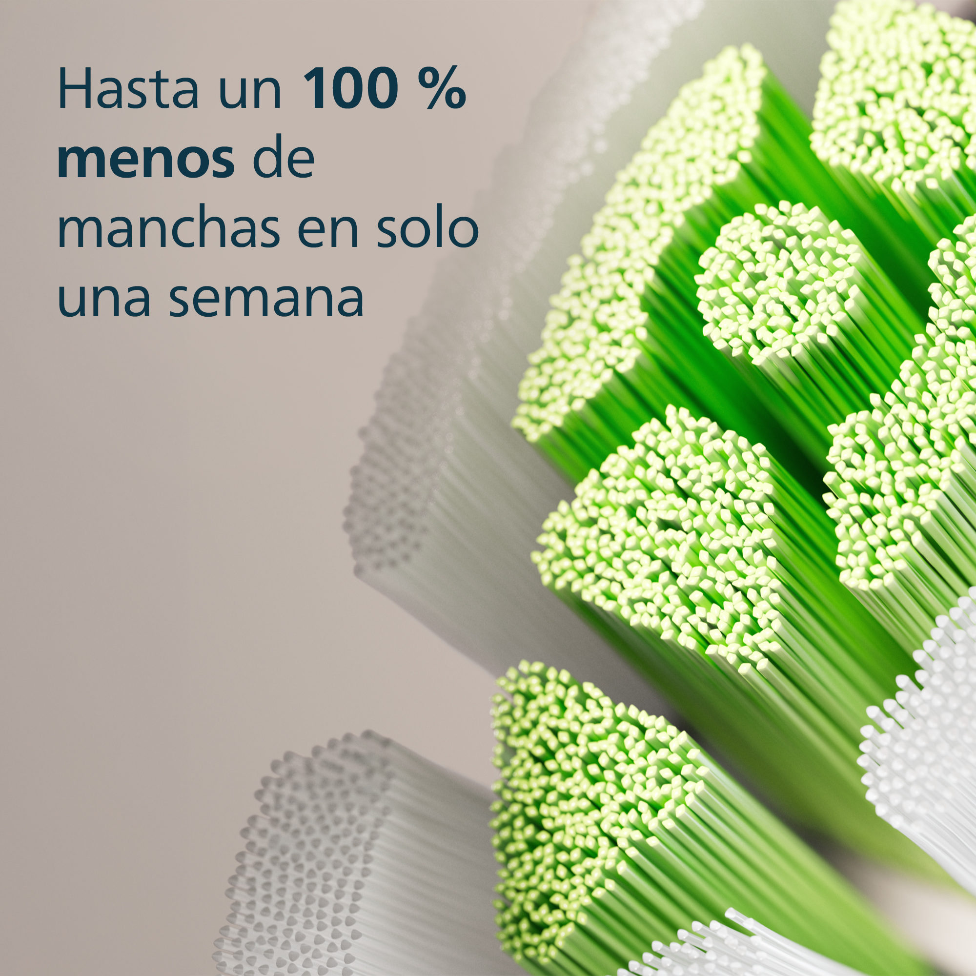 Primer plano de cerdas de cepillo de dientes, con texto sobre eliminación de manchas.