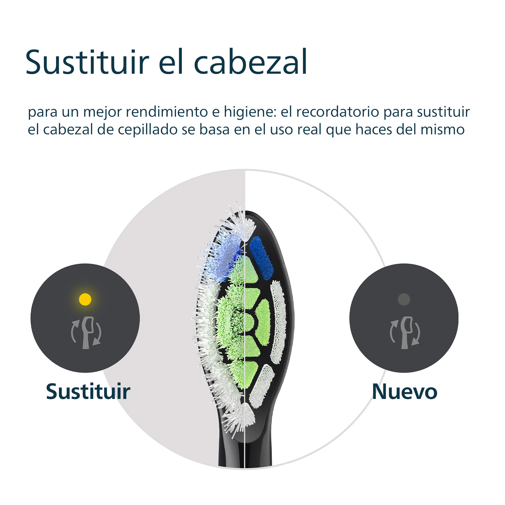 Imagen que muestra el recordatorio de reemplazo del cabezal del cepillo de dientes. Un círculo muestra 'reemplazar'.
