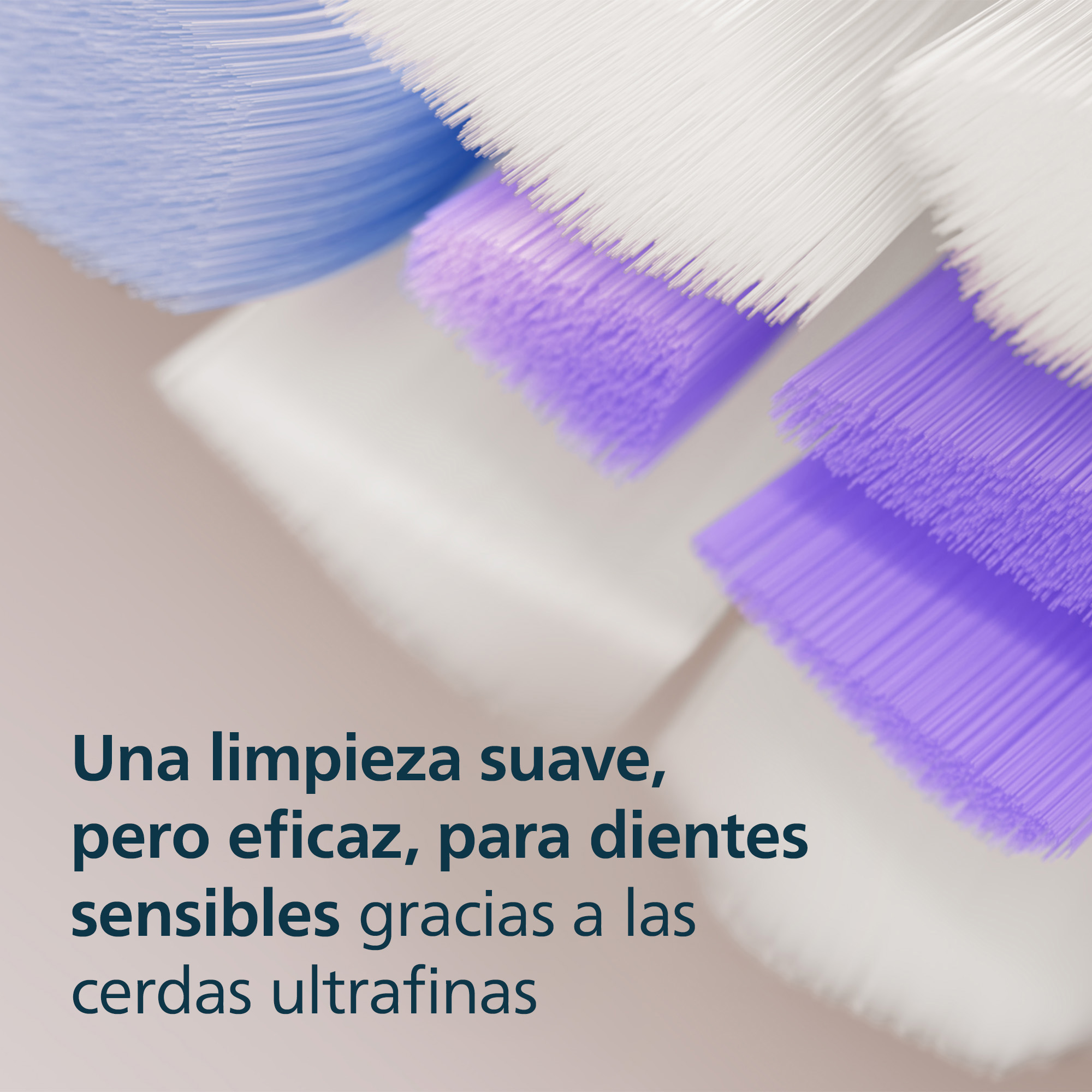 Primer plano de cerdas de cepillo de dientes con cerdas moradas y blancas. El texto dice que es suave pero efectivo para dientes sensibles.