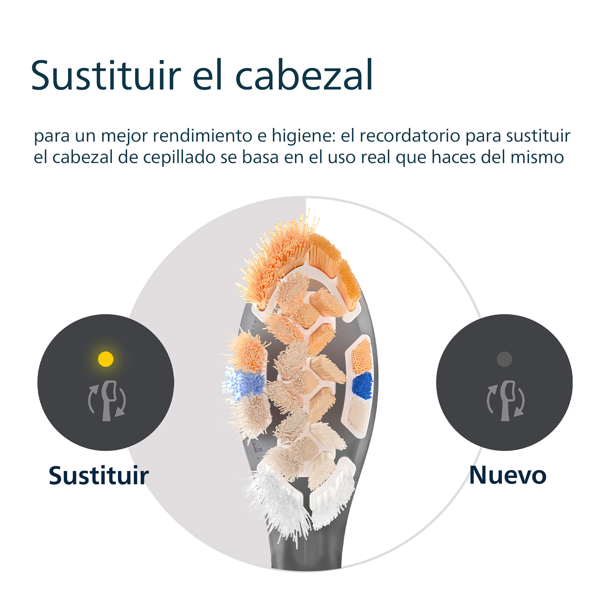 Diagrama de un cabezal de cepillo de dientes. Muestra el indicador de reemplazo y un gráfico de cabezal nuevo.
