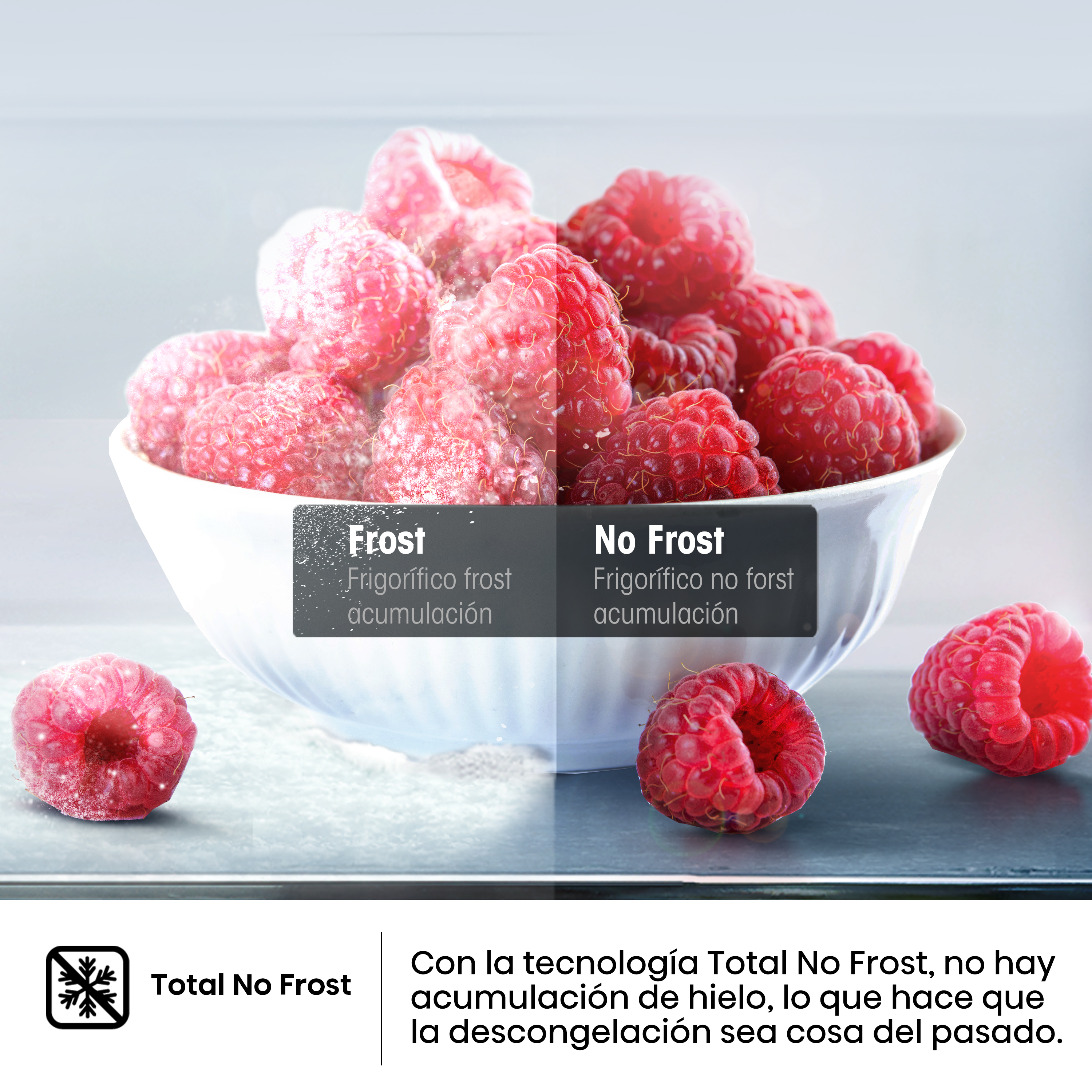 Total No Frost: Cuenco de frambuesas, mitad con escarcha, mitad sin, con texto.