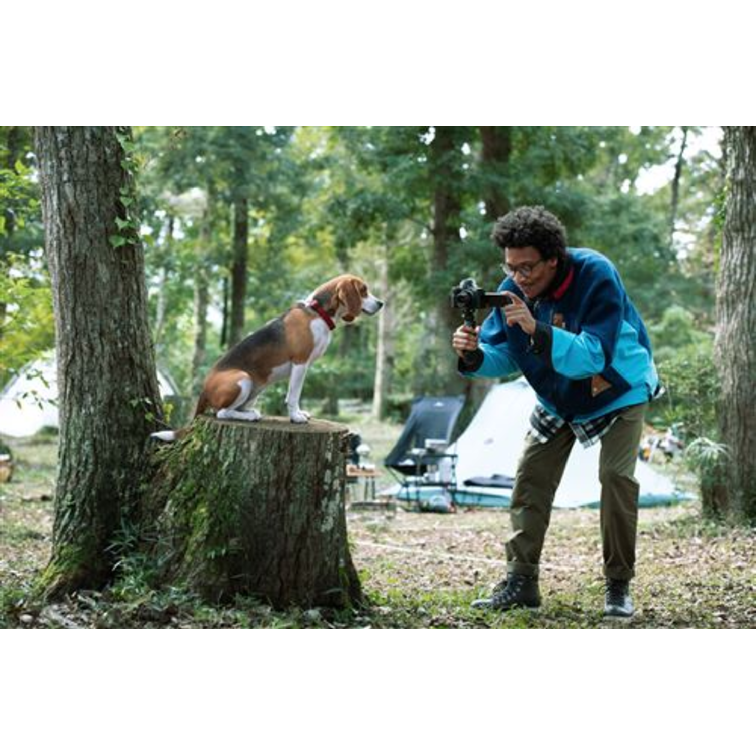 Man taking photo of dog on stump in forest; tents in background.