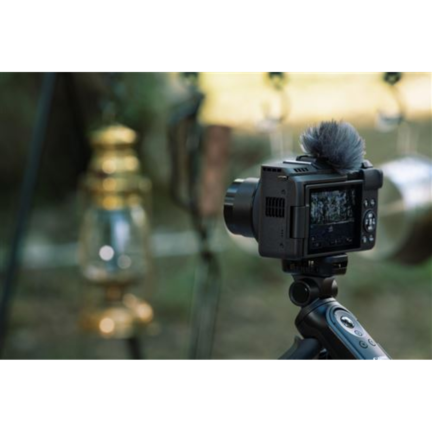 Camera on a tripod, with a blurred background of a lantern and foliage.