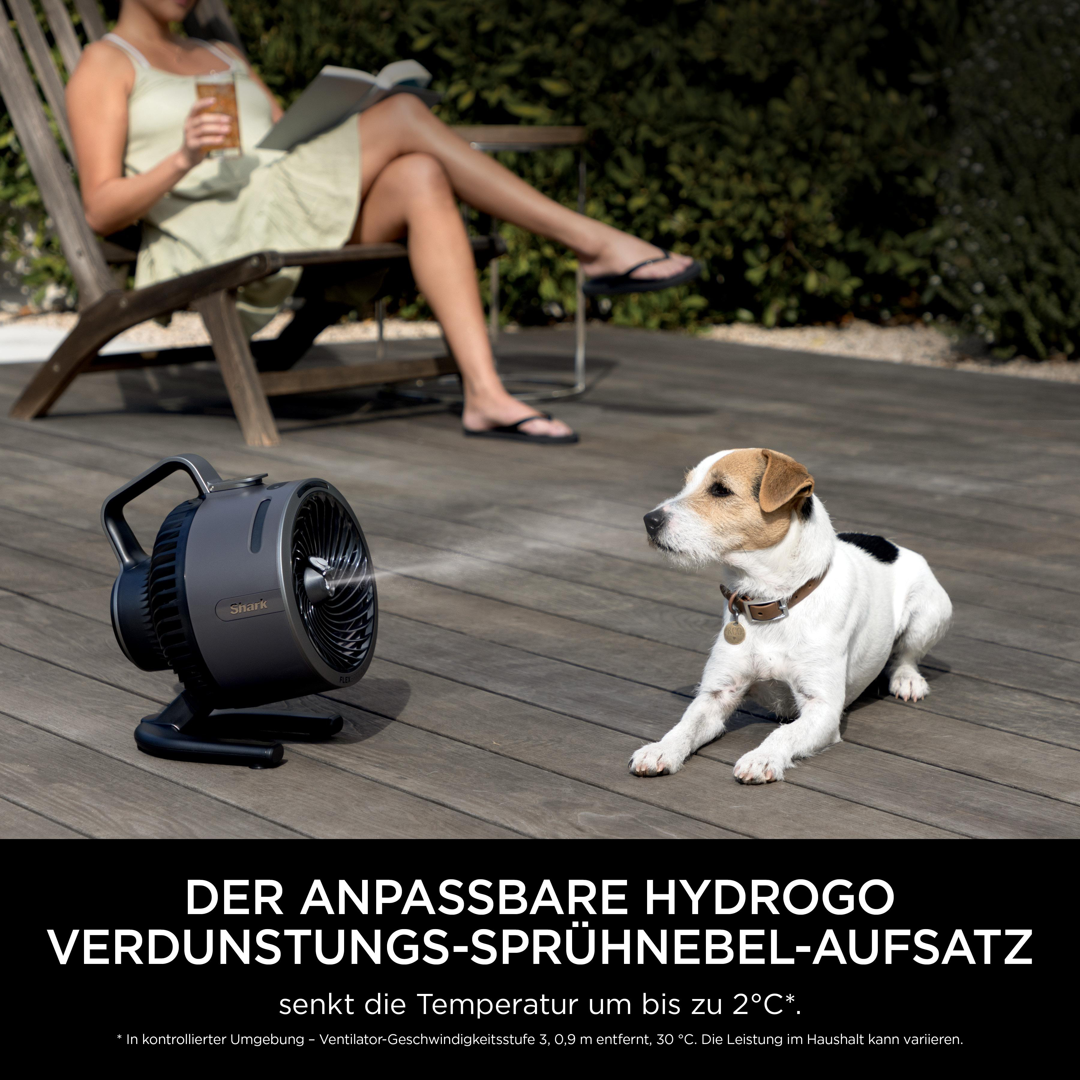 Schwarzer Ventilator mit Dunst auf einer Terrasse neben einem Hund.