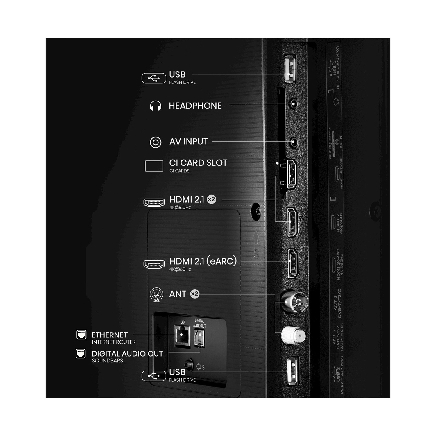 Primo piano del pannello posteriore di una TV, che mostra varie porte: HDMI, USB, Ethernet e uscite audio.
