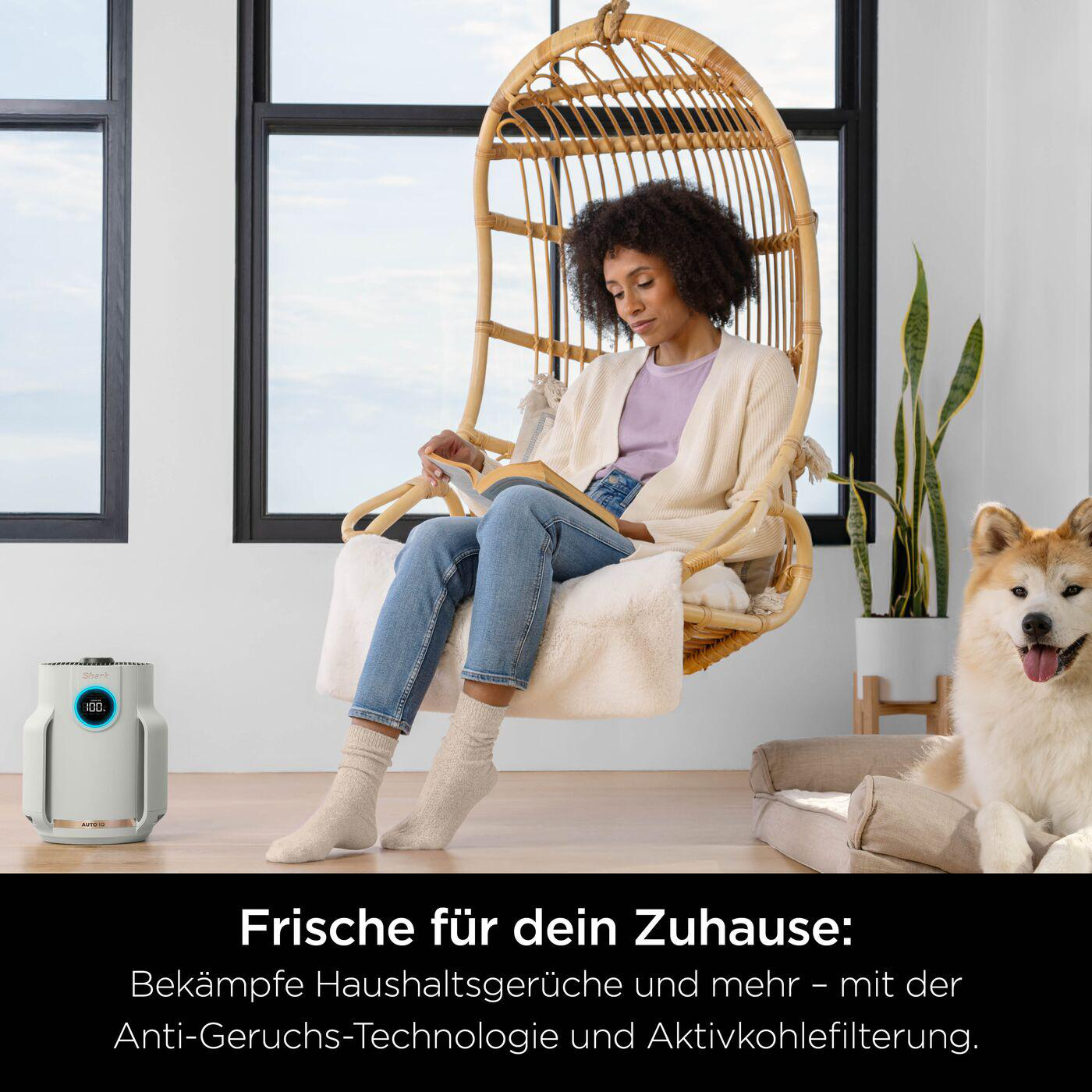 Frau im Korbstuhl liest, Hund in der Nähe. Luftreiniger im Hintergrund. Heller, luftiger Raum mit großen Fenstern.