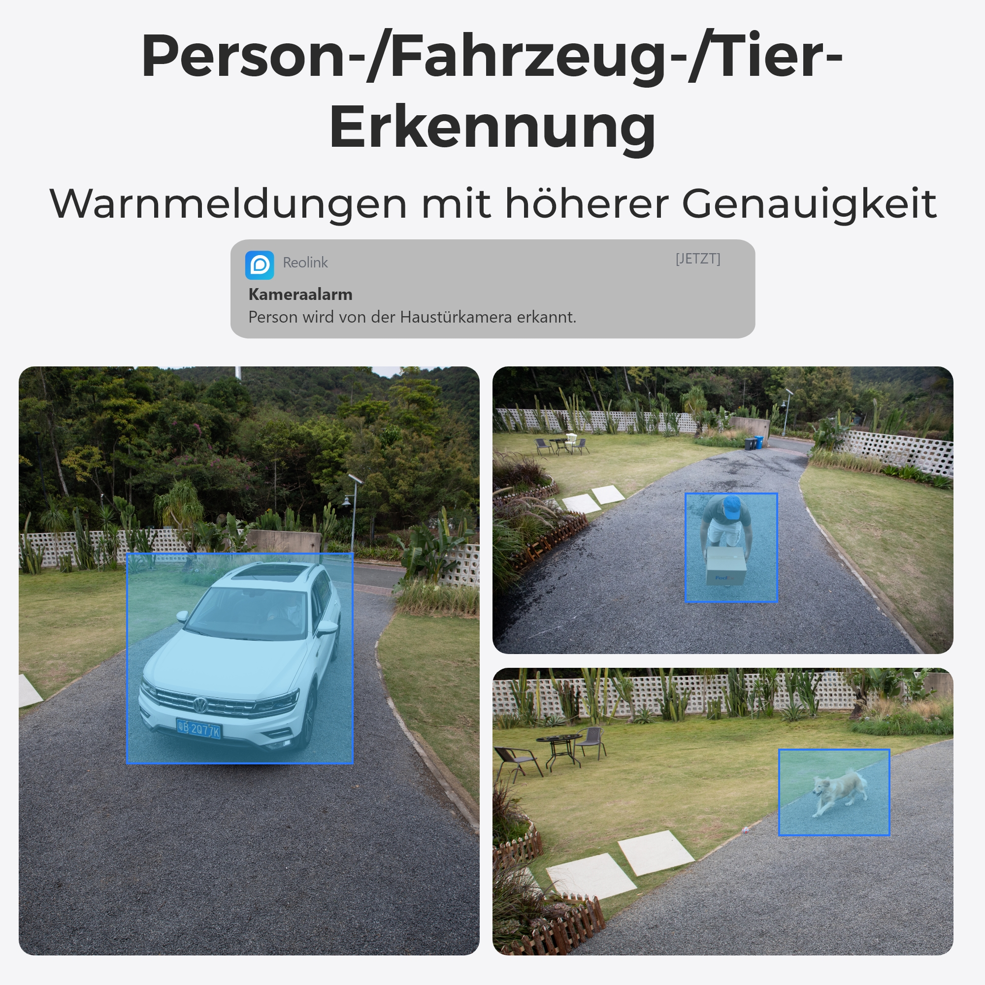 Bild zeigt Personen-/Fahrzeug-/Tiererkennung. Blaue Kästen markieren ein Auto, eine Person und einen Hund.