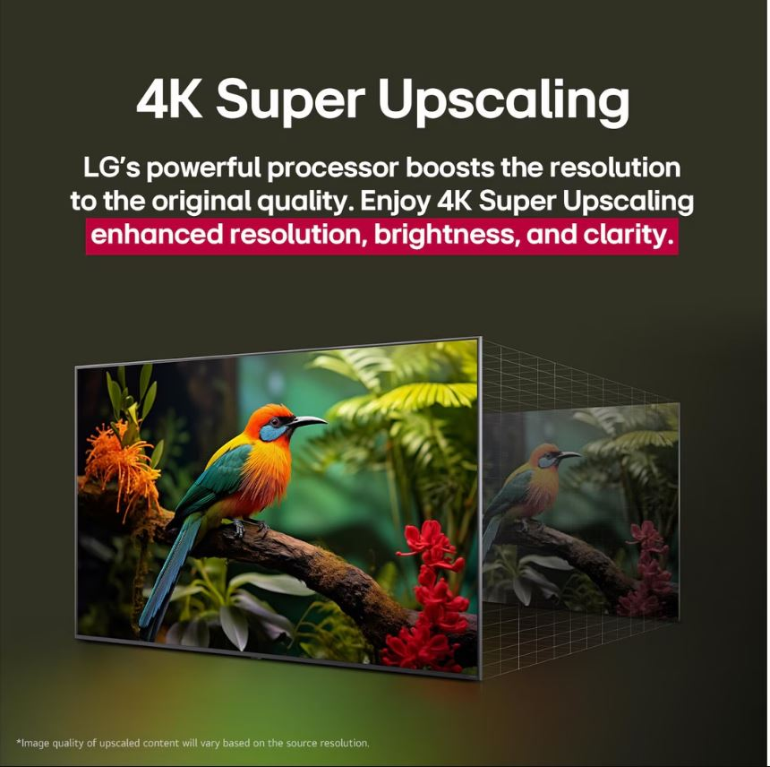 3D efekti ile canlı bir kuş sahnesi gösteren TV ekranı.