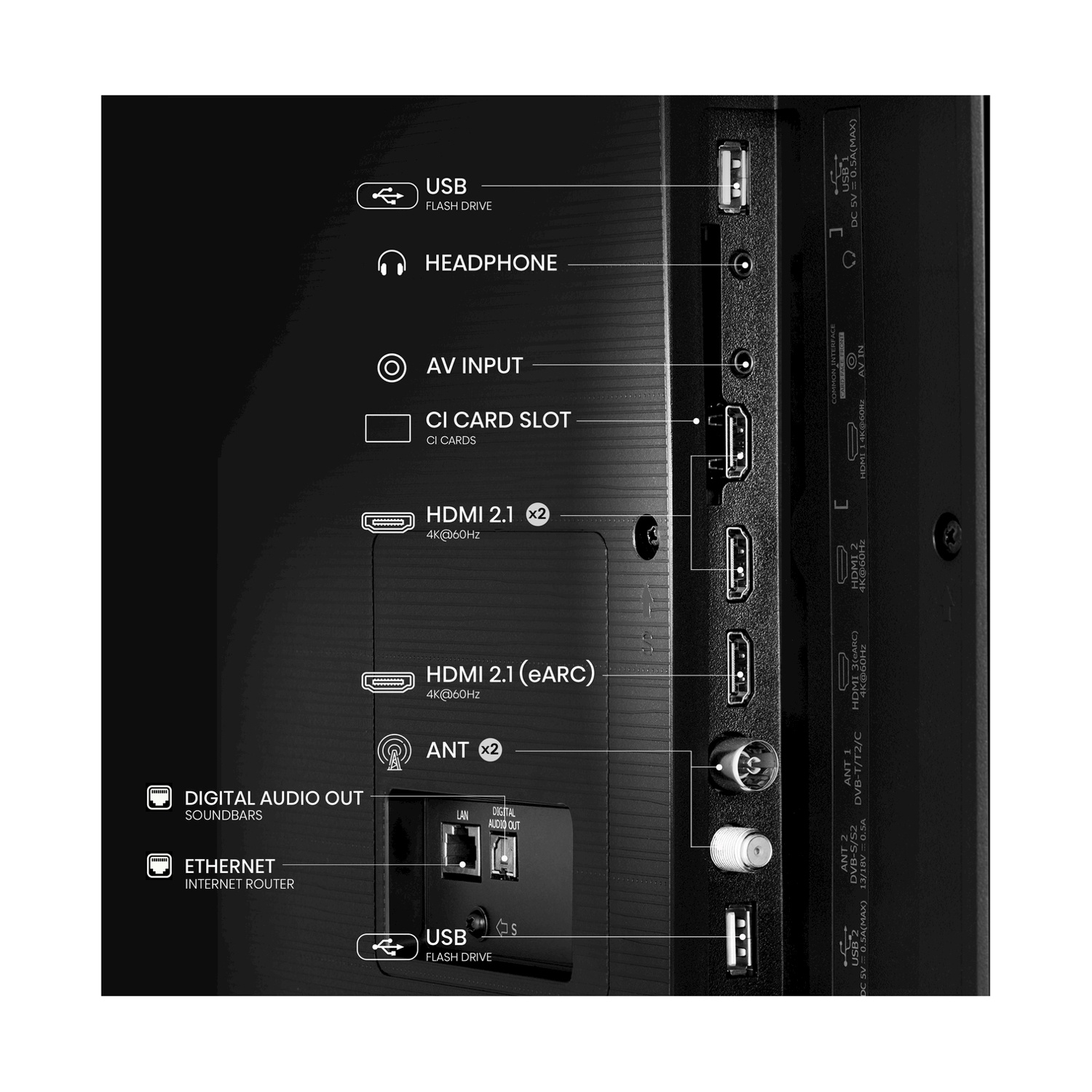 Primo piano delle porte TV, che mostra HDMI, USB e altre opzioni di connessione.
