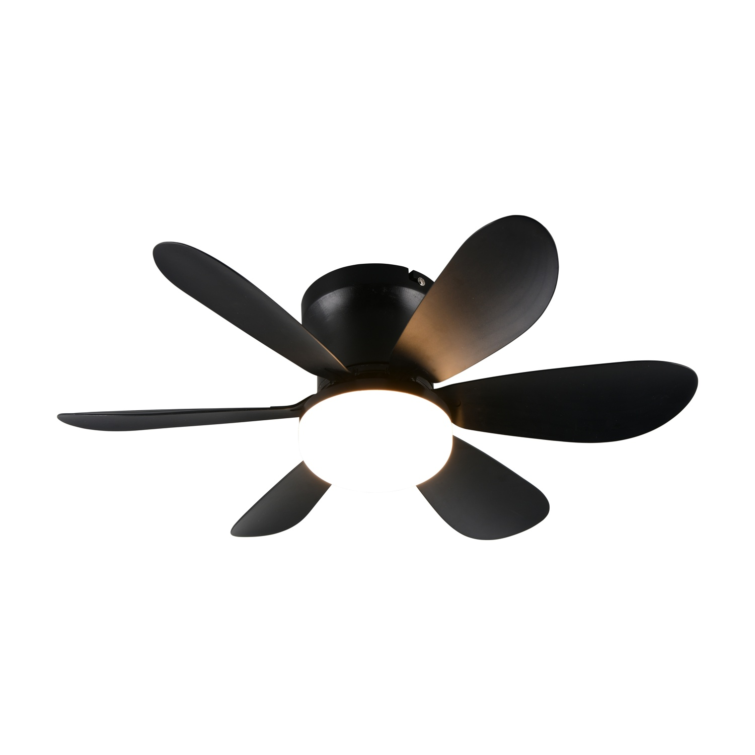 Ventilatore da soffitto nero con cinque pale curve e una sorgente luminosa centrale. Isolato su sfondo bianco.