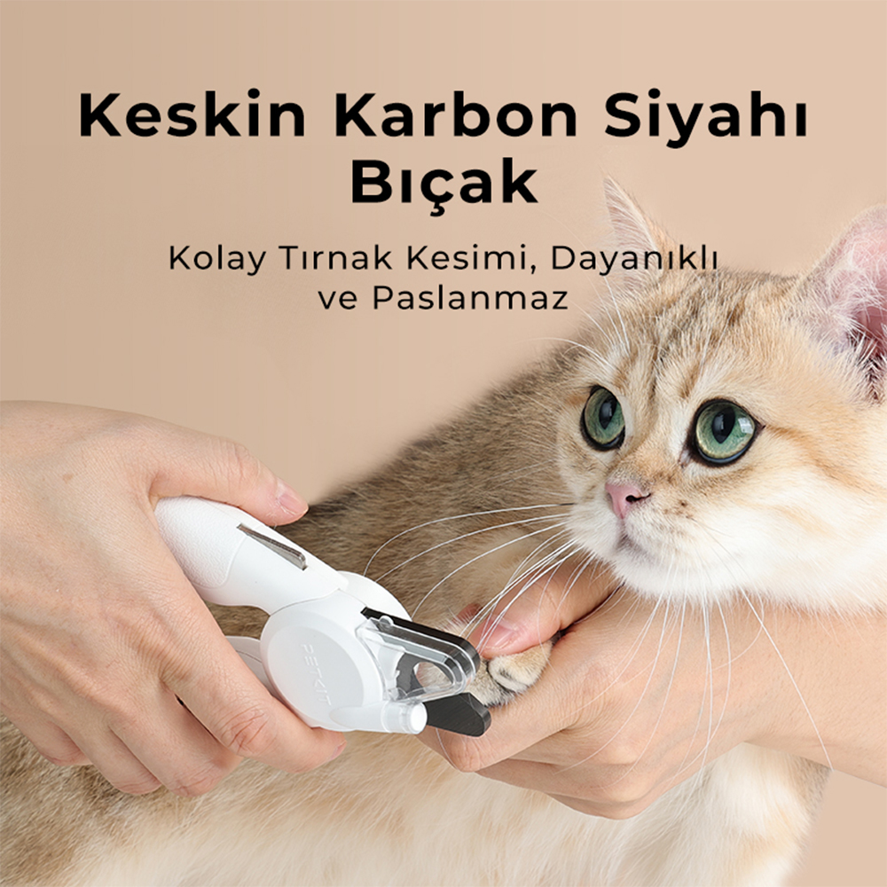 Bir kişi beyaz makasla bir kedinin tırnaklarını kesiyor; kedi açık kahverengi.