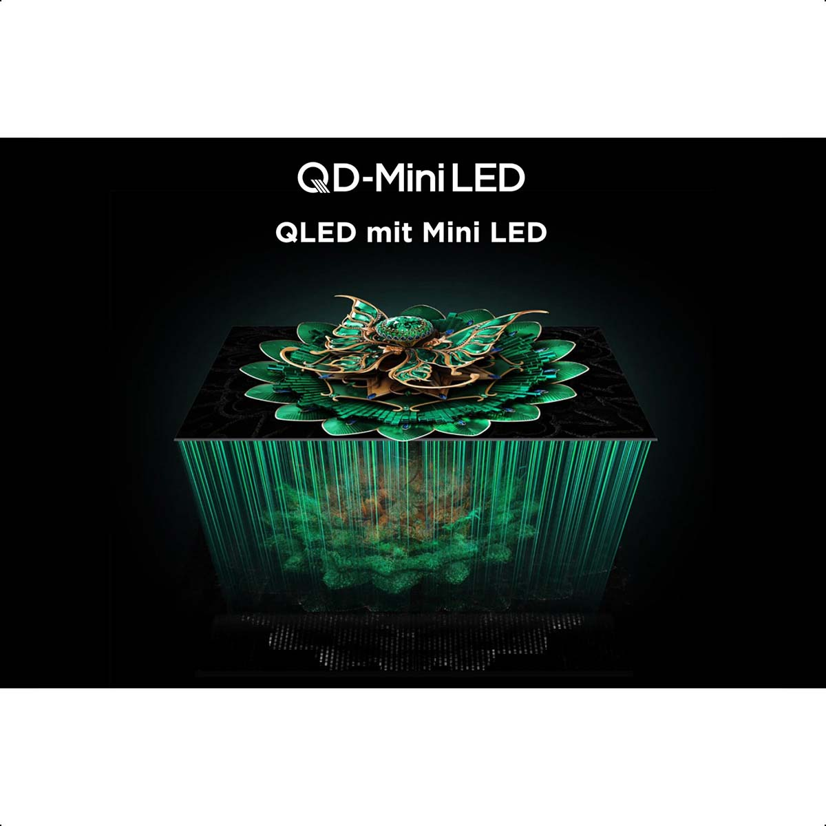 QD-Mini-LED-Display, QLED mit Mini-LED. Grüne und goldene Grafik auf schwarzem Hintergrund.