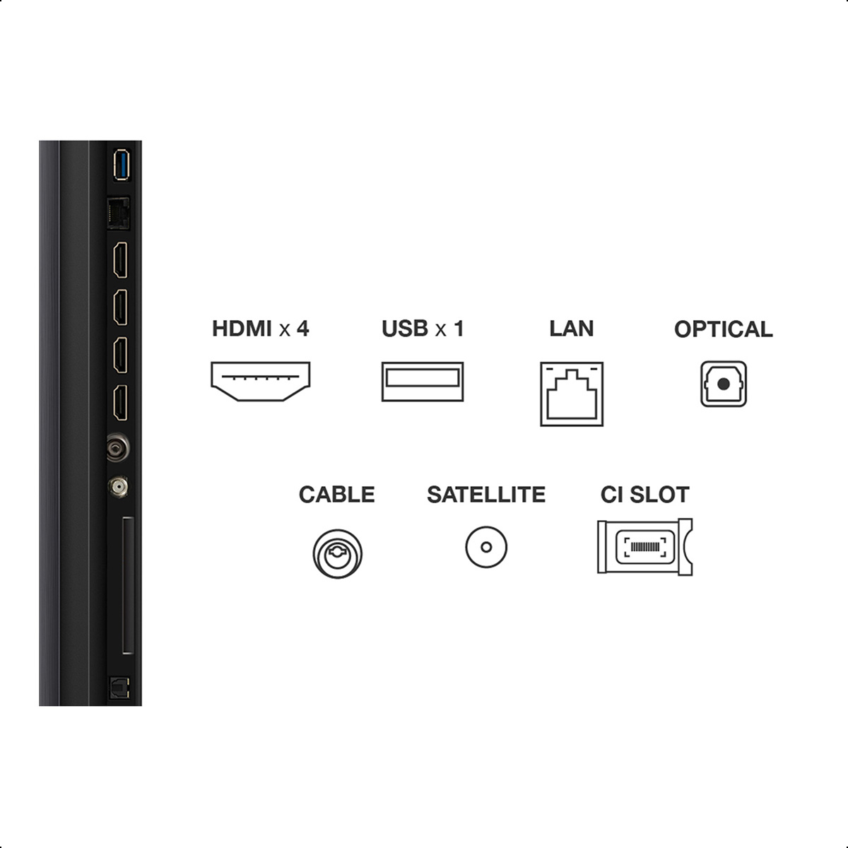 Rückseite des Fernsehers mit Anschlüssen: HDMI, USB, LAN, Optisch, Kabel, Satellit, CI-Slot.