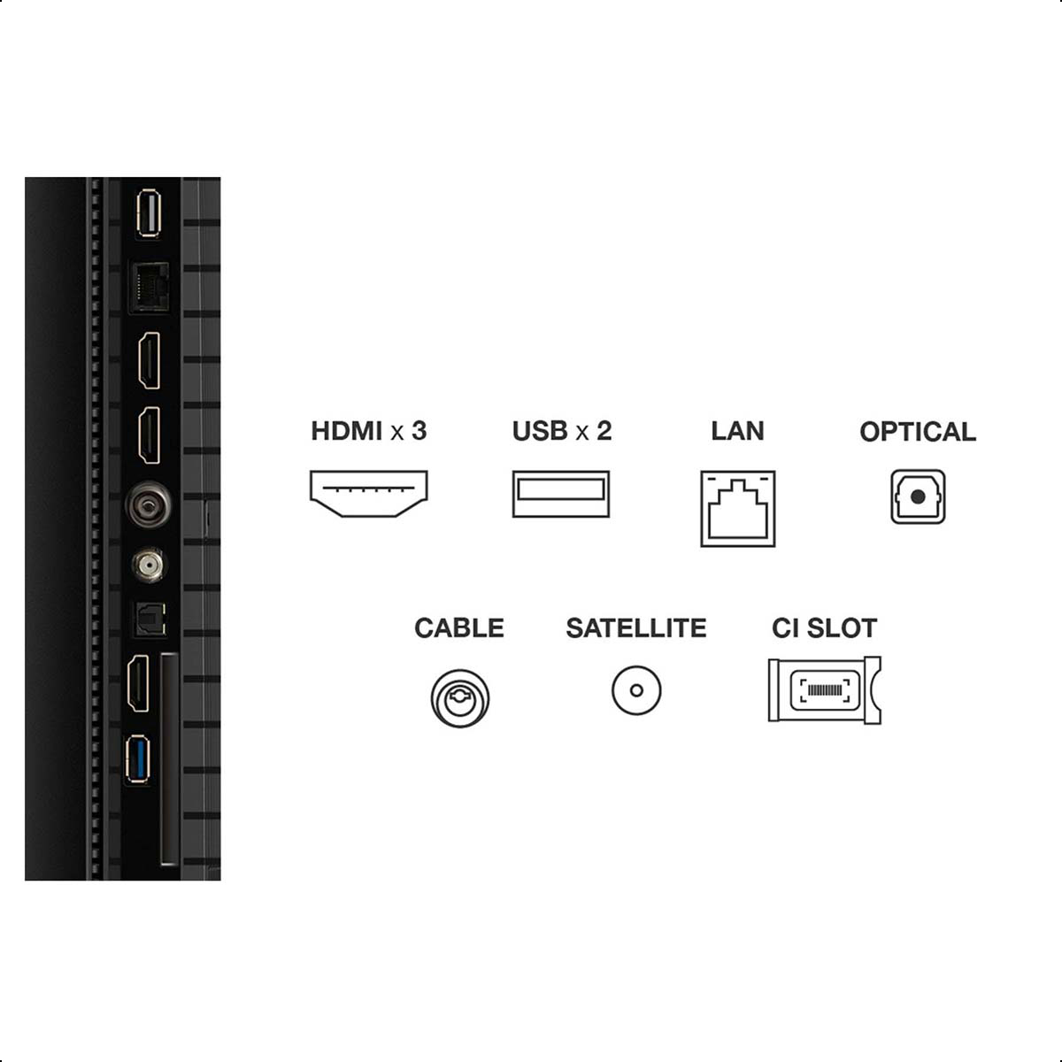 TV-Anschlüsse: HDMI, USB, LAN, Optisch, Kabel, Satellit und CI-Slot.