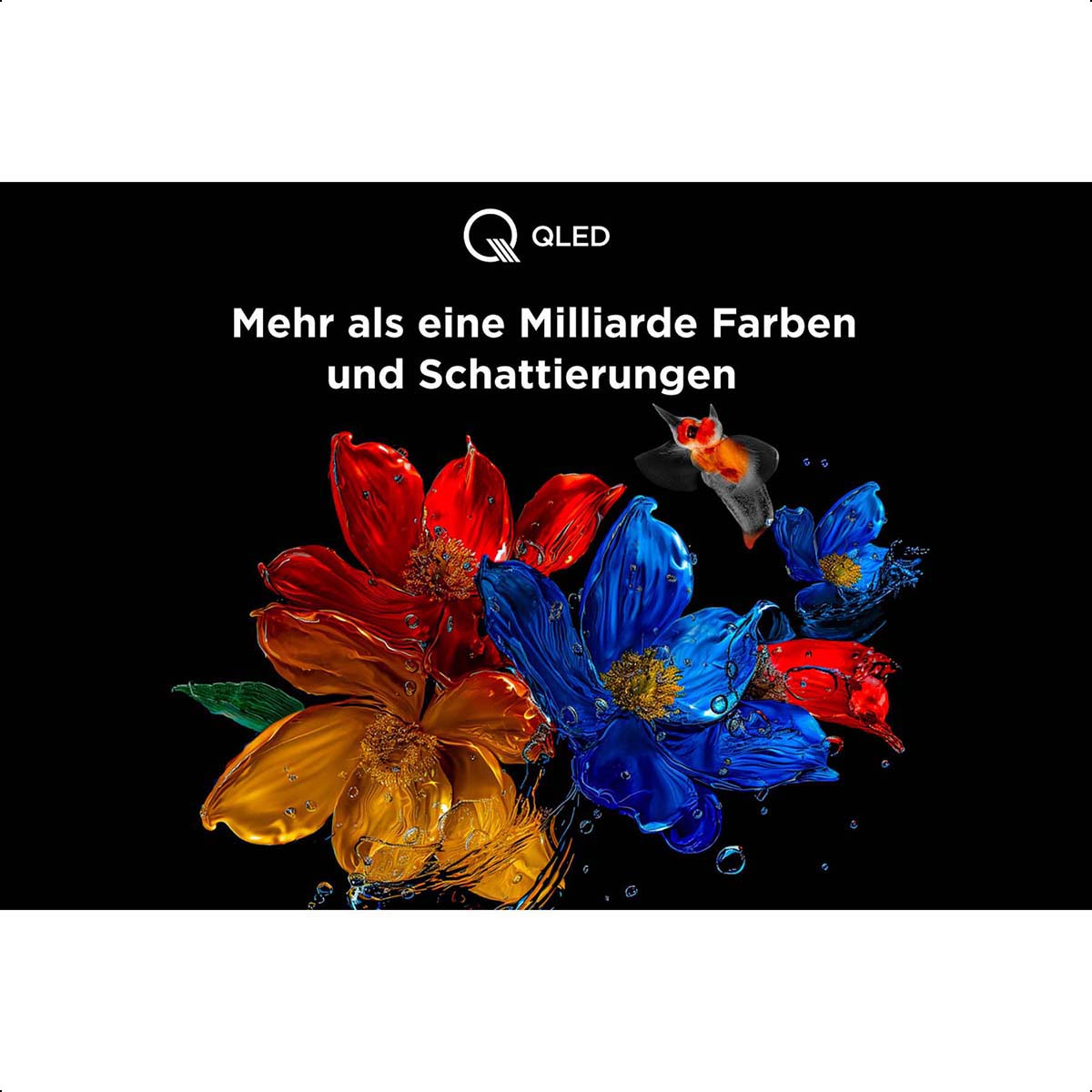 Bunte Blumen auf schwarzem Grund, mit QLED-Text.