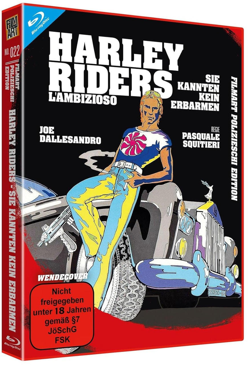 Filmcover, Zeichnung eines Mannes mit Motorrad. Titel sagt Harley Riders. Hauptsächlich deutscher Text.