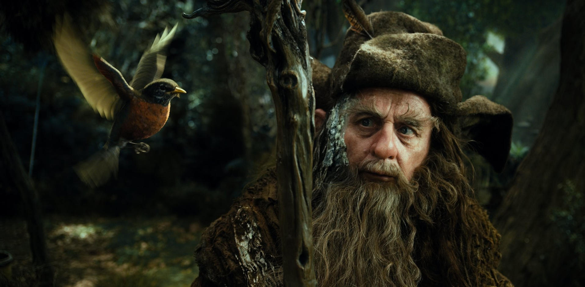 Ein alter Zauberer mit einem Vogel. Der Vogel fliegt. Der Zauberer hat einen Bart und einen Hut.