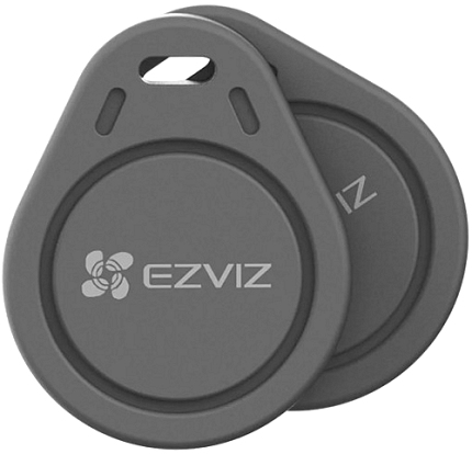 Dos llaveros EZVIZ grises con un agujero en la parte superior.