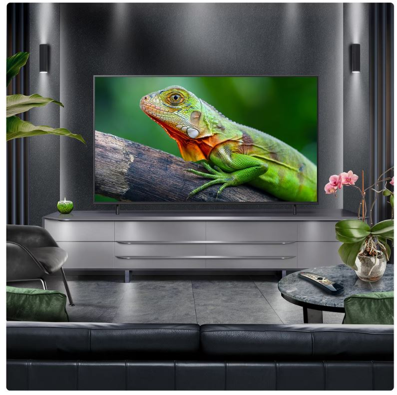 İguana görüntüsü olan TV ekranı. Oturma odası ortamı, gri mobilyalar, koyu duvarlar, bitkiler.