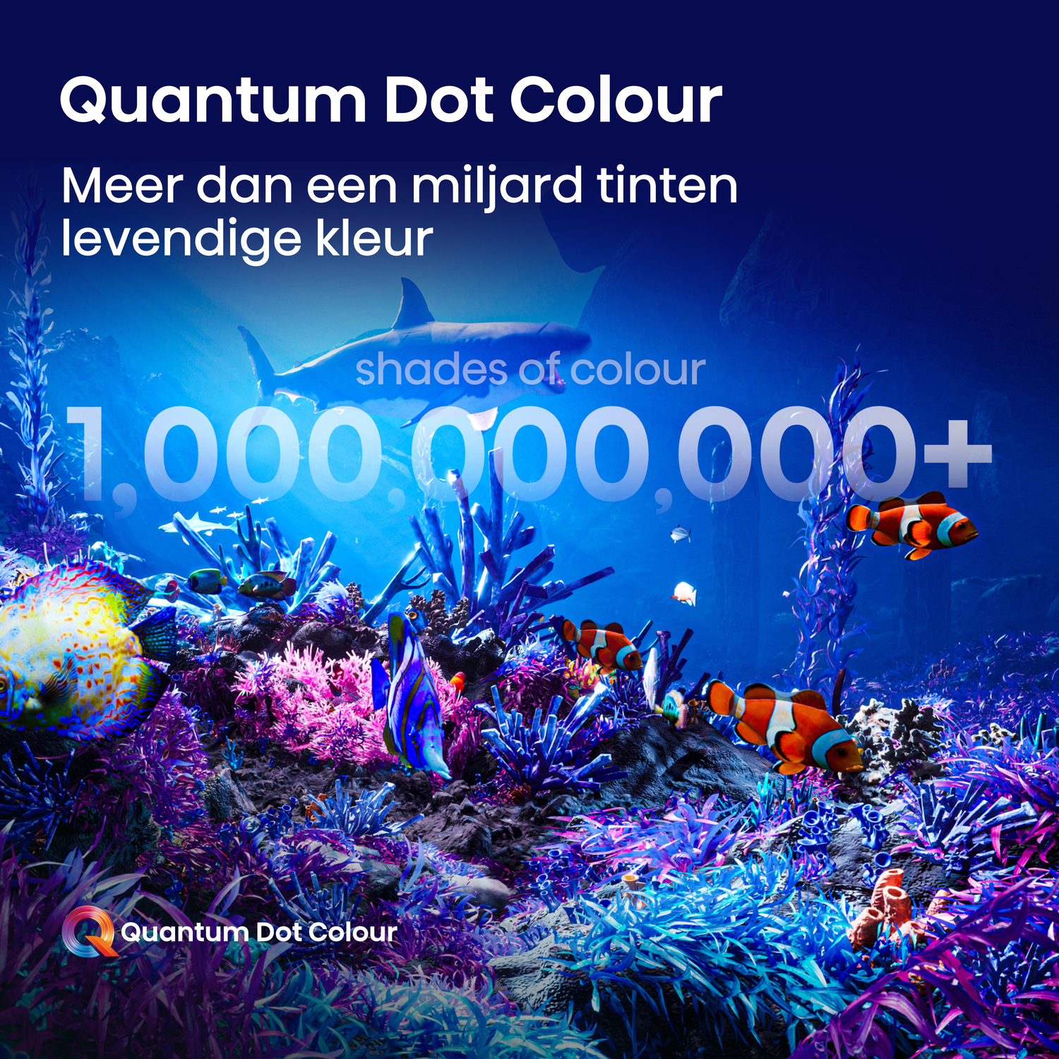 Onderwater scène met een haai en clownvissen. Tekst geeft meer dan een miljard kleurschakeringen aan.