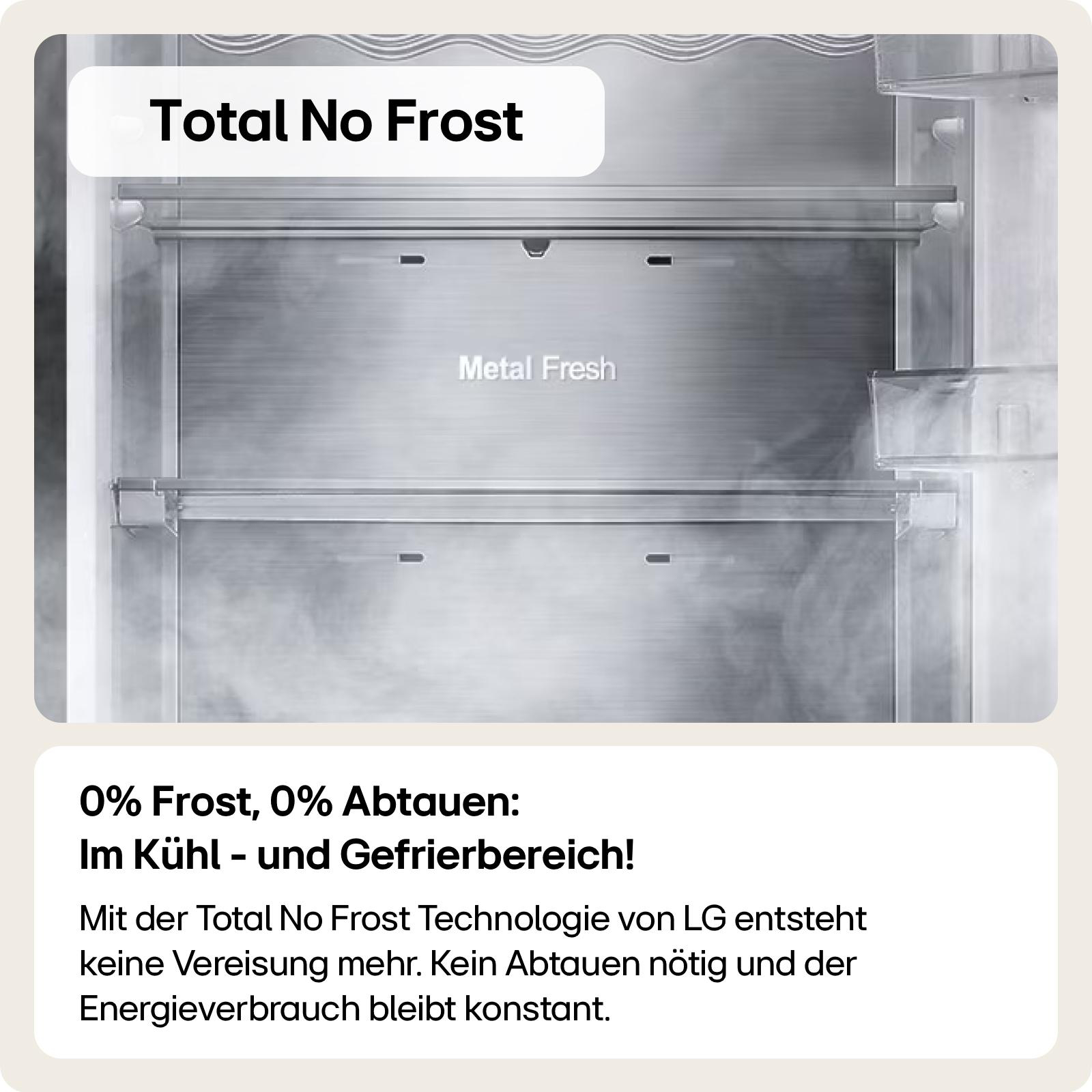 Innenraum eines Kühlschranks, silbern. 'Total No Frost' sichtbar. Leere Regale mit Nebel im Hintergrund.