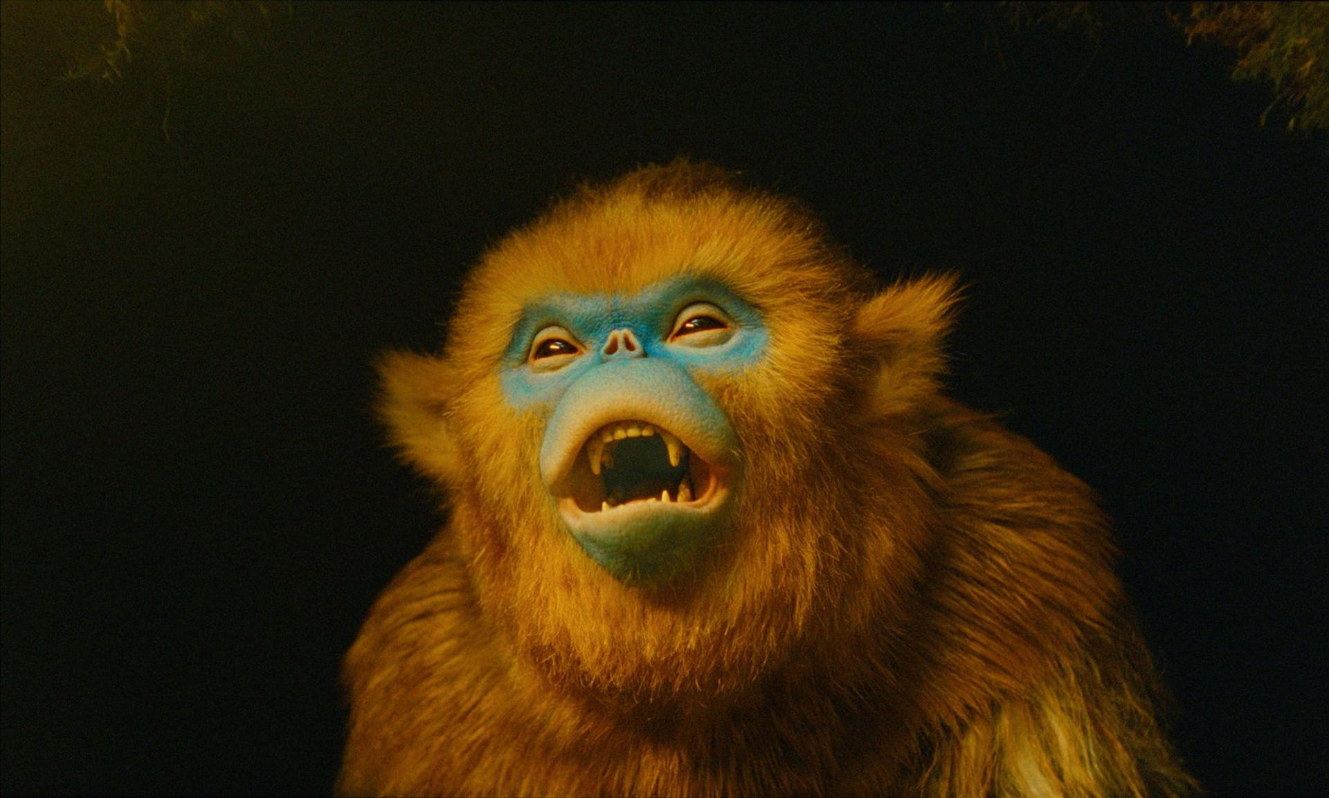 Ein goldener Affe mit blauem Gesicht, der mit offenem Mund nach oben blickt.