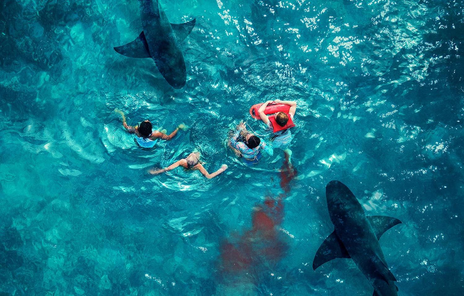 Menschen schwimmen in blauem Wasser. Haie schwimmen um sie herum. Eine Person trägt eine Schwimmweste. Blut im Wasser.